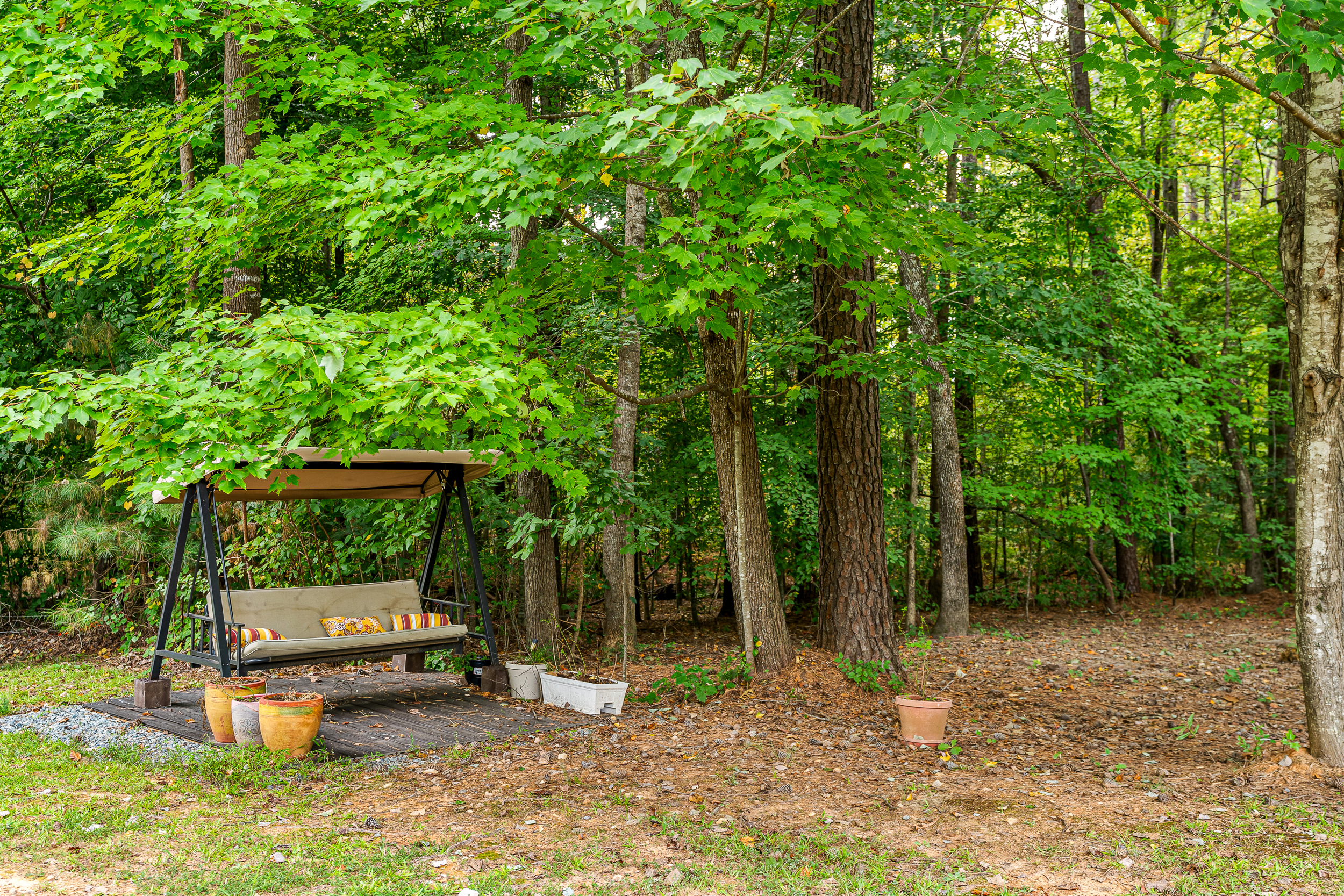  110 Vintage Hill Circle, Apex, NC 27539 - 物件實景