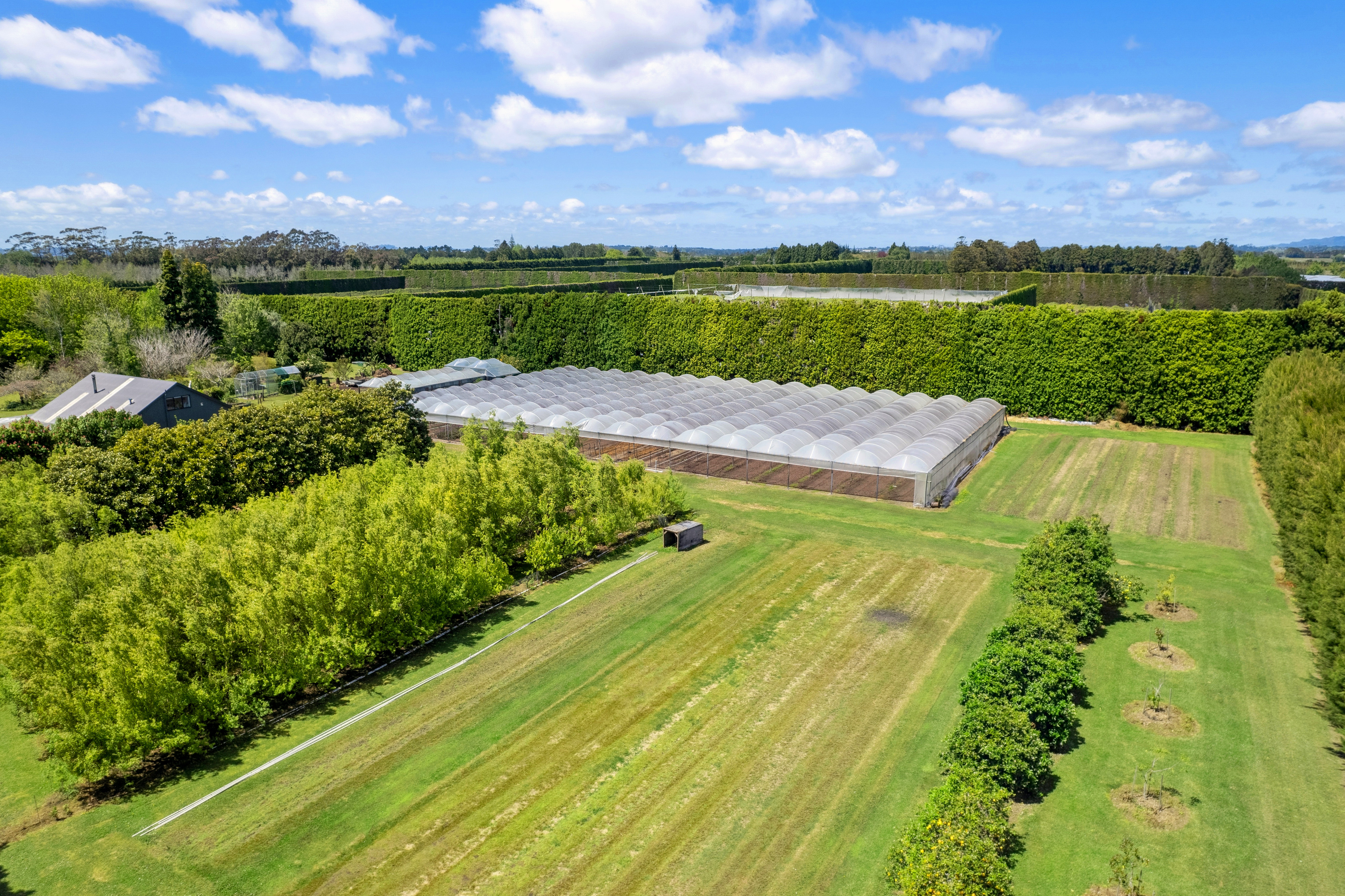  18 Lathrope Road, Riverhead - 物件實景