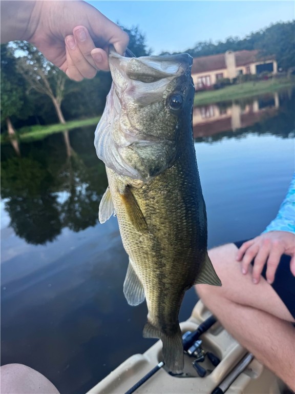 College Station, Texas, 77845, United States, 4 Bedrooms Bedrooms, ,3 BathroomsBathrooms,Residential,For Sale,1976837