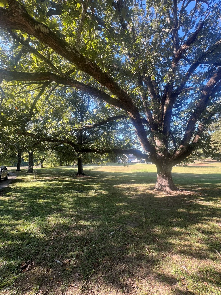 26 Cr 313, OXFORD, Mississippi, 38655, United States, 4 Bedrooms Bedrooms, ,3 BathroomsBathrooms,Residential,For Sale,26 Cr 313,1640697