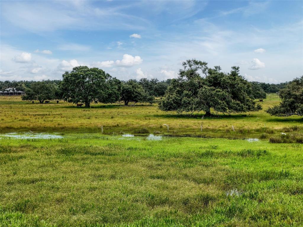Myakka City, Florida, 34251, United States, ,Land,For Sale,1908306