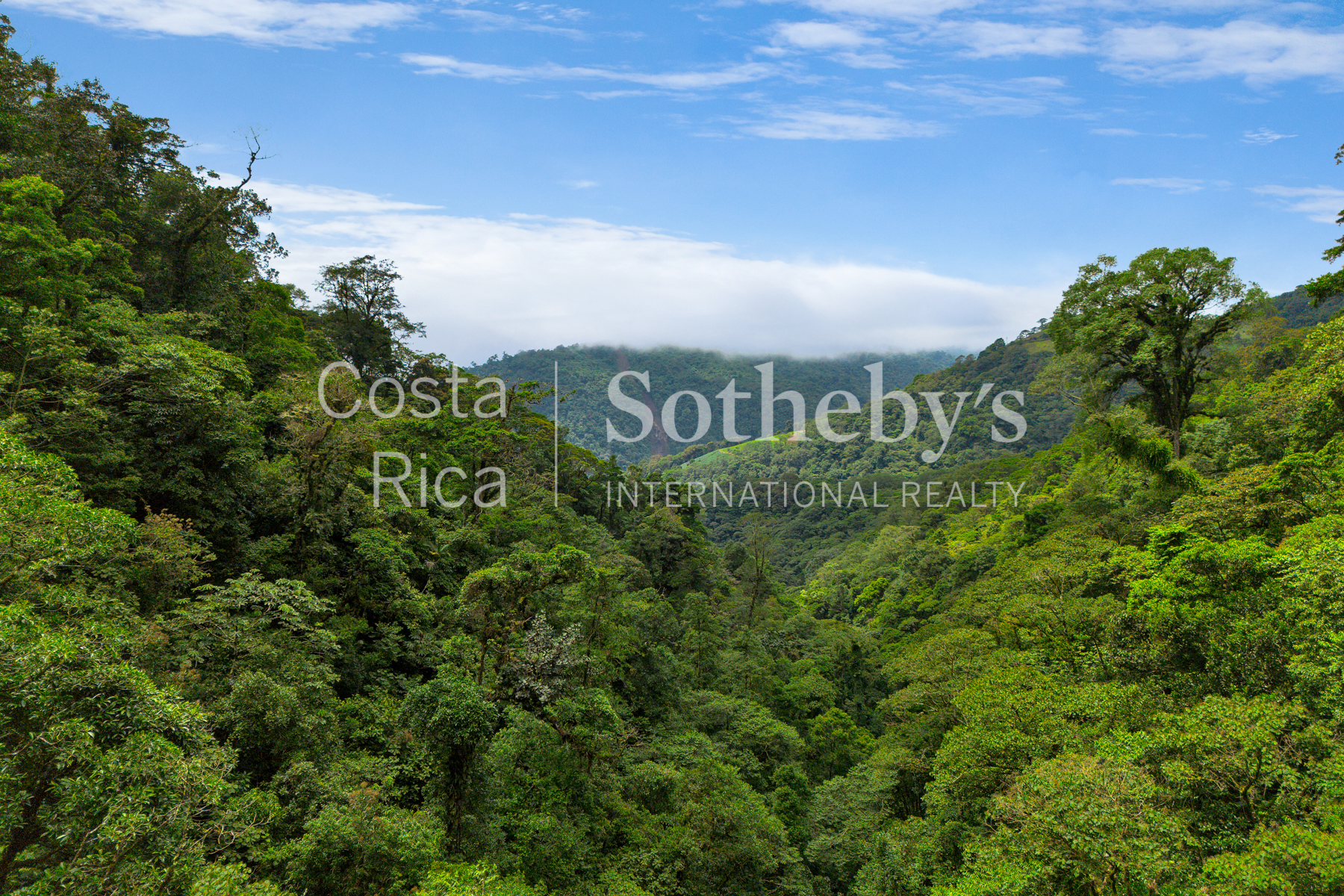  Centro Científico para la Conservación Bosque de Paz - 物件實景