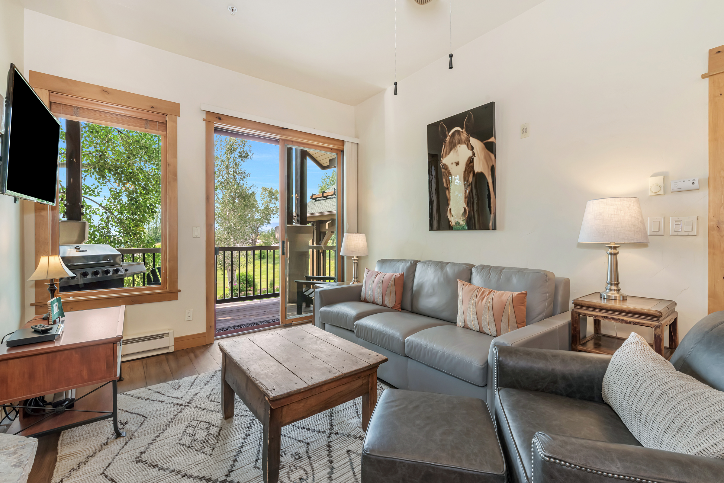  1463 Flattop Circle, Steamboat Springs, CO 80487 - 物件實景