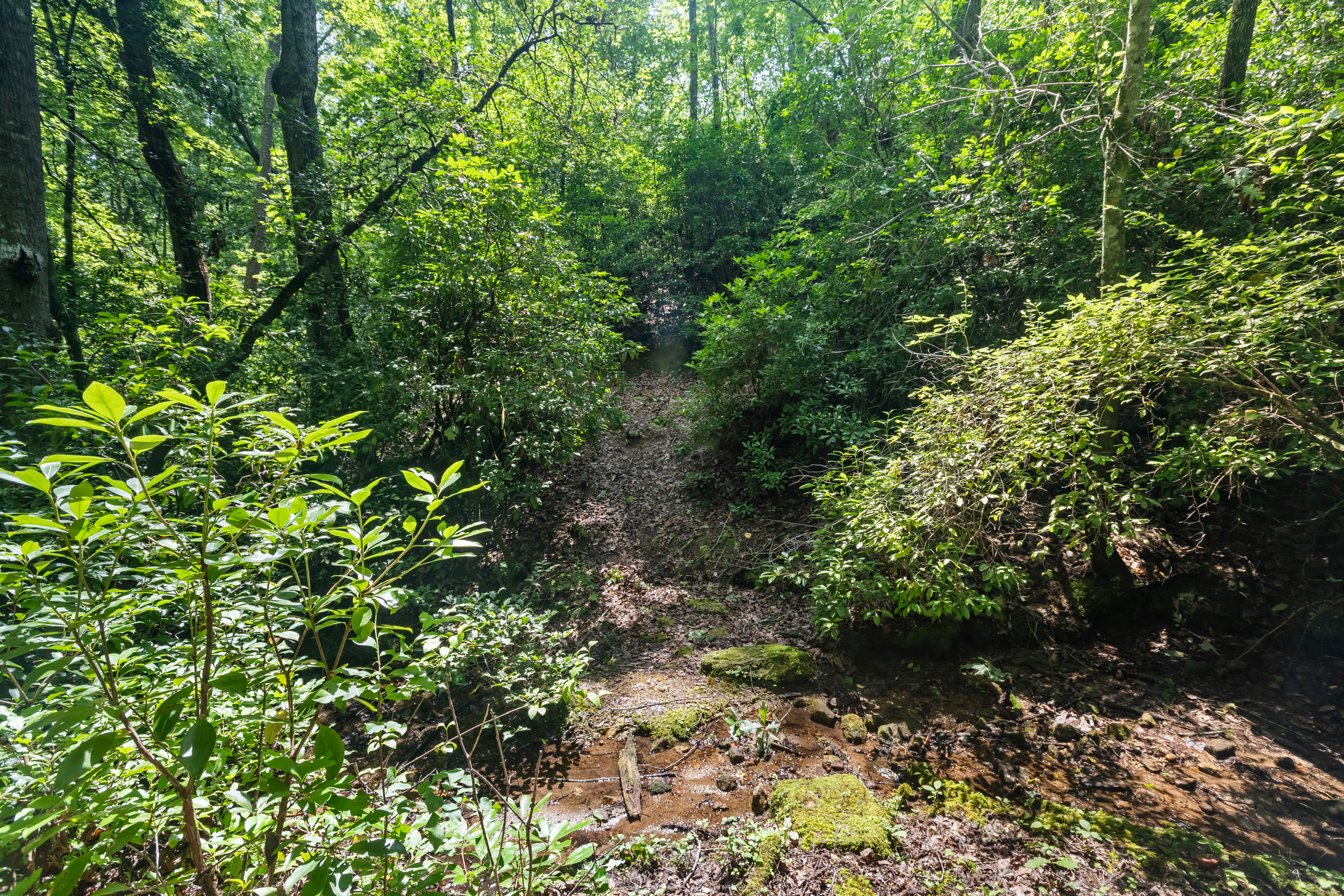  3765 South Carolina 11, Pickens, SC 29671 - 物件實景