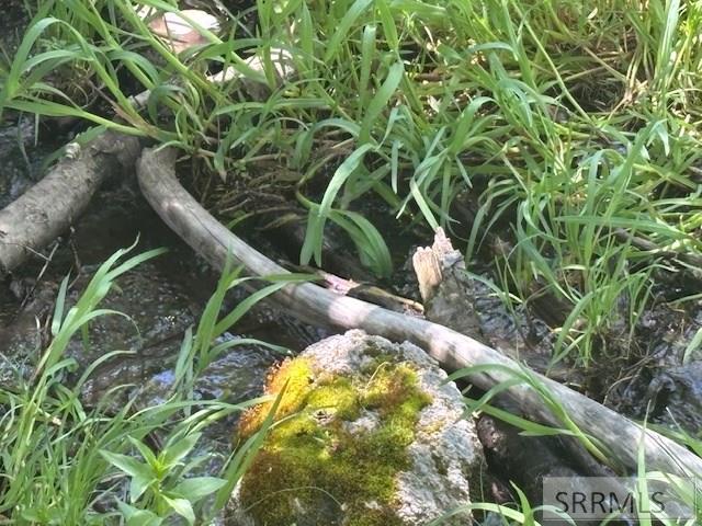 RIRIE, Idaho, 83443, United States, ,Residential,For Sale,1974893