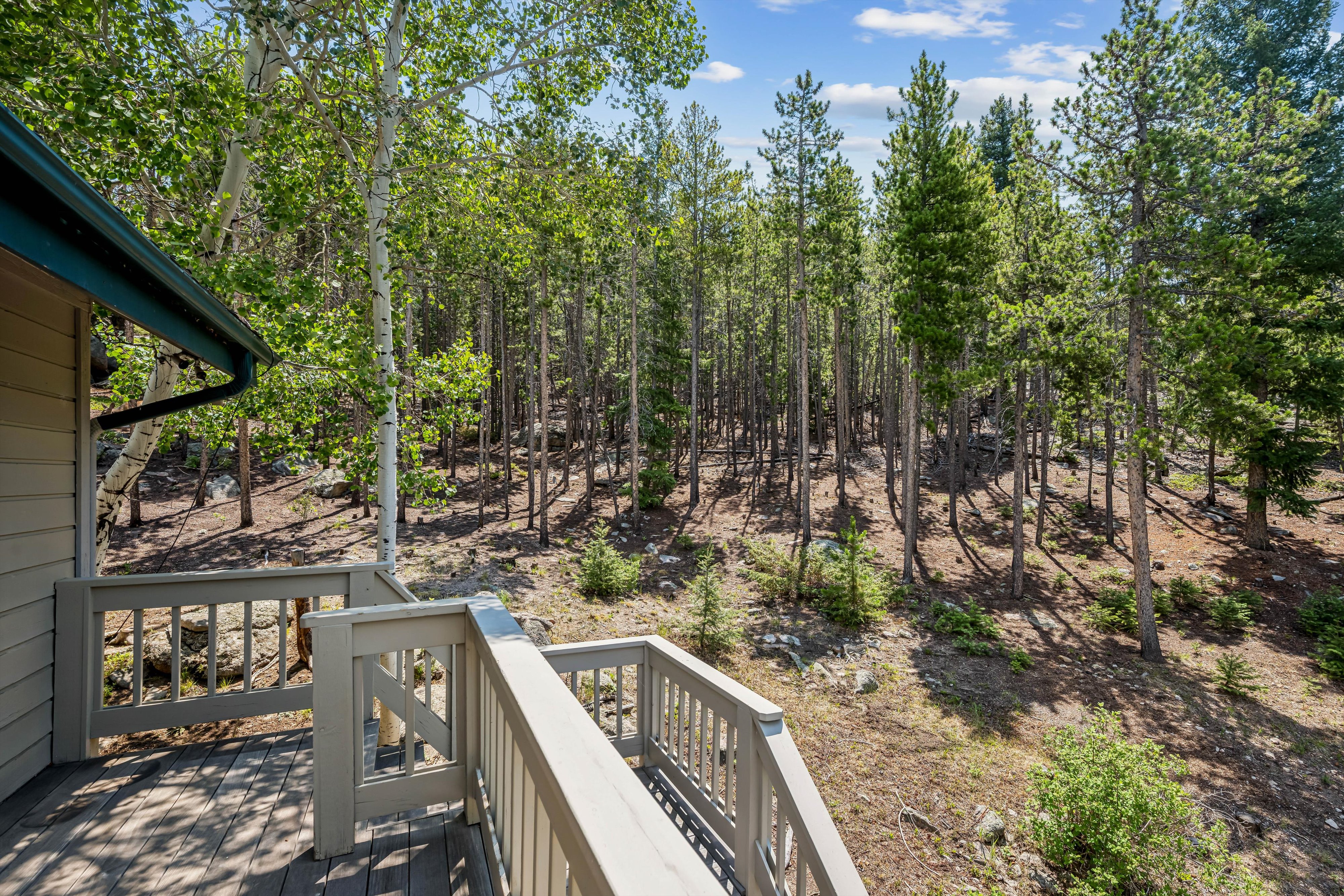  Colorado Mountain Living on 5.29 Wood/Sloping Acres - 物件實景