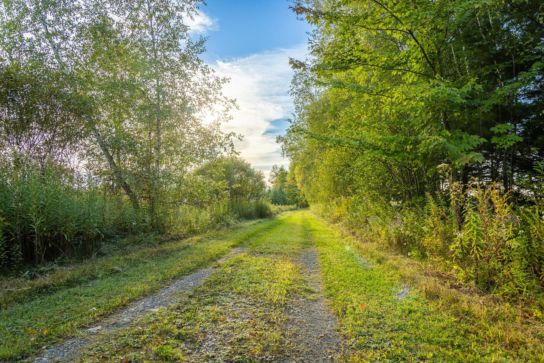  Shefford, Eastern Townships - 物件實景