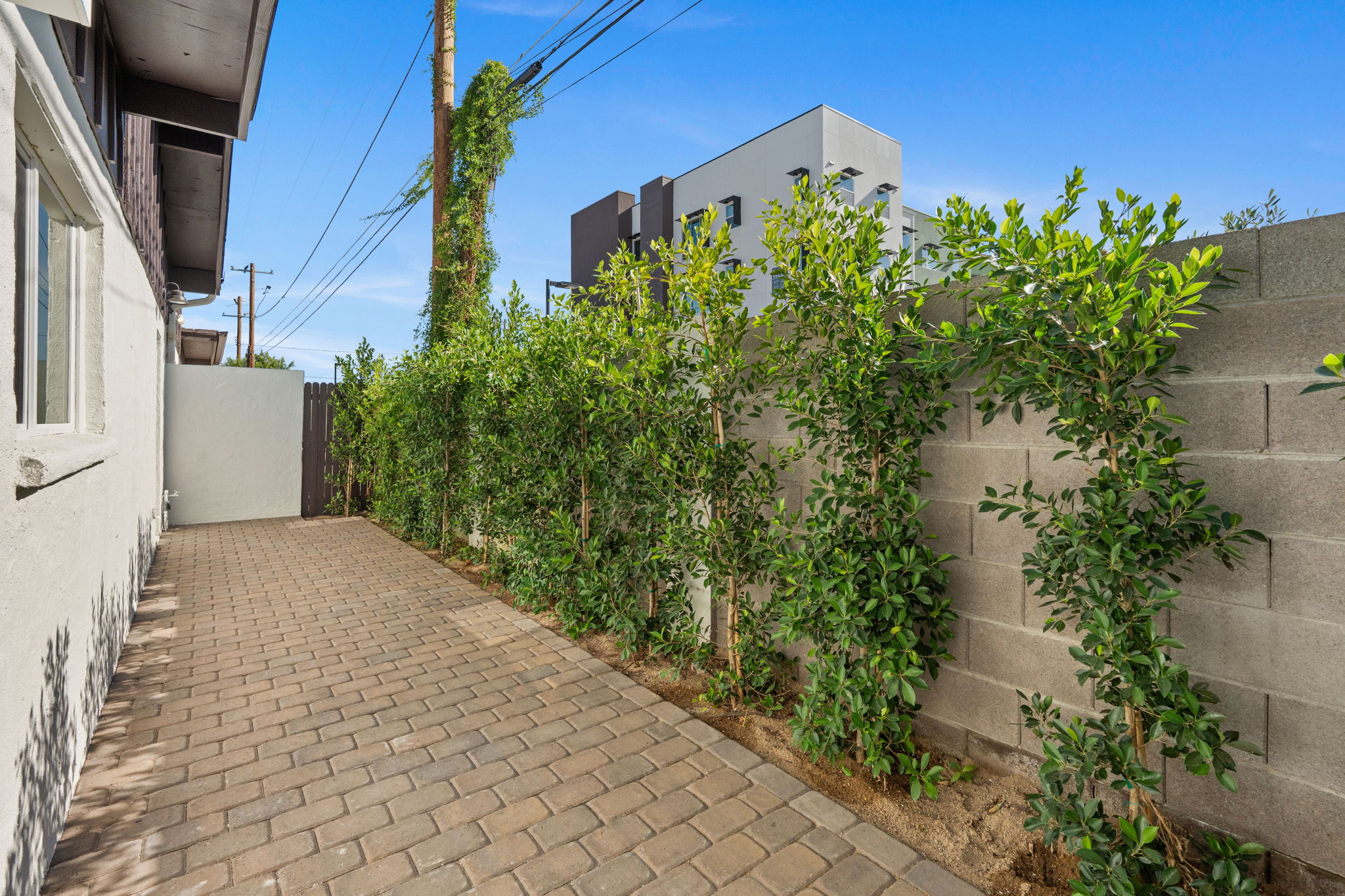  2933 N Casa Tomas Court  Phoenix, AZ - 物件實景