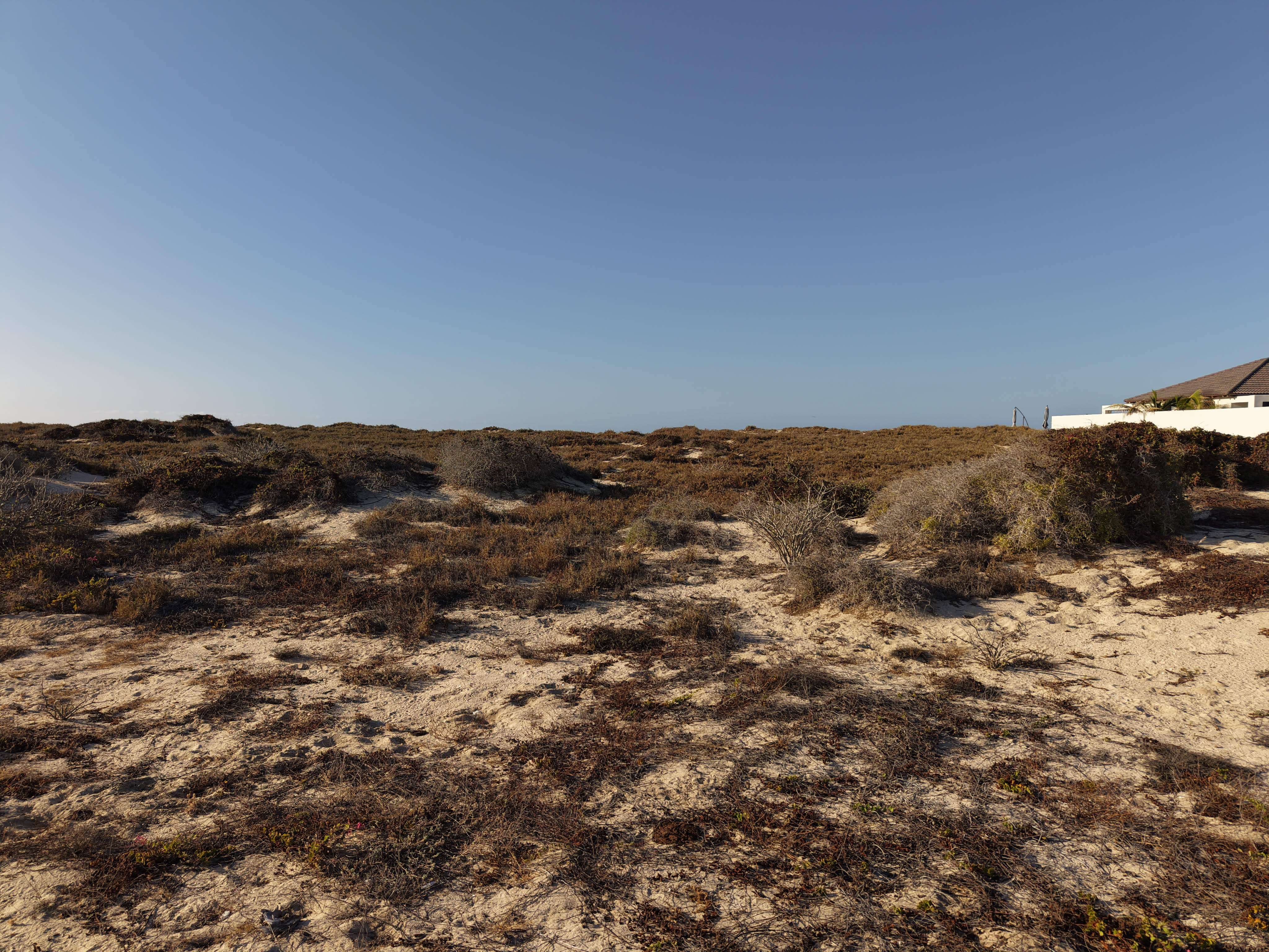  Oceanfront Lighthouse Lot A-101 - 物件實景