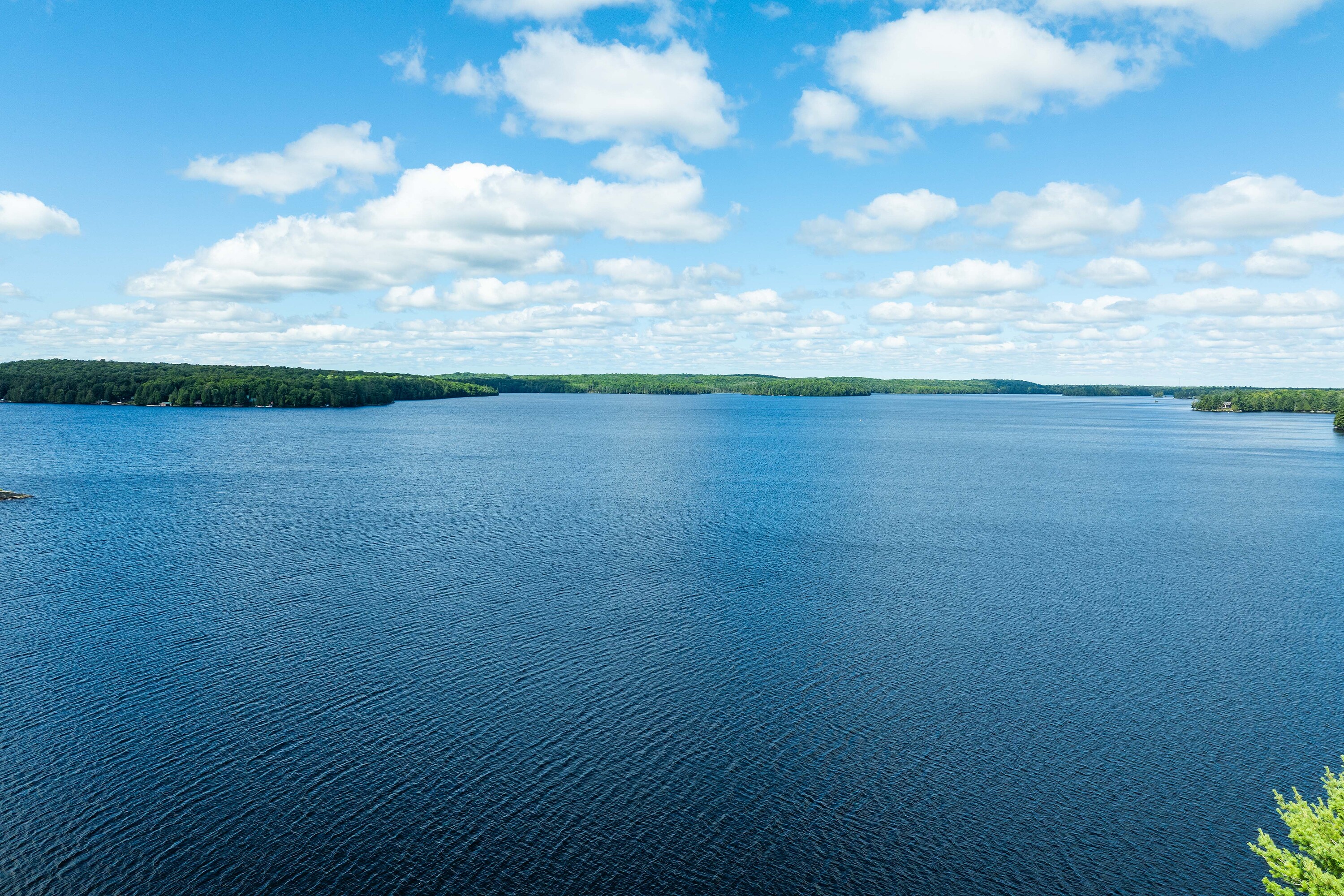  Ahmic Lake Home or Cottage - 物件實景
