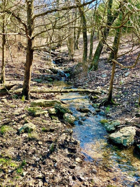 Berryville, Arkansas, 72616, United States, 6 Bedrooms Bedrooms, ,4 BathroomsBathrooms,Residential,For Sale,1988341