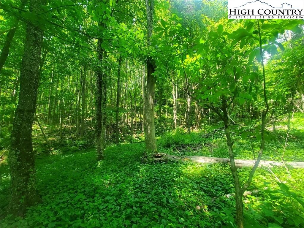 Warrensville, North Carolina, 28693, United States, ,Land,For Sale,1984173