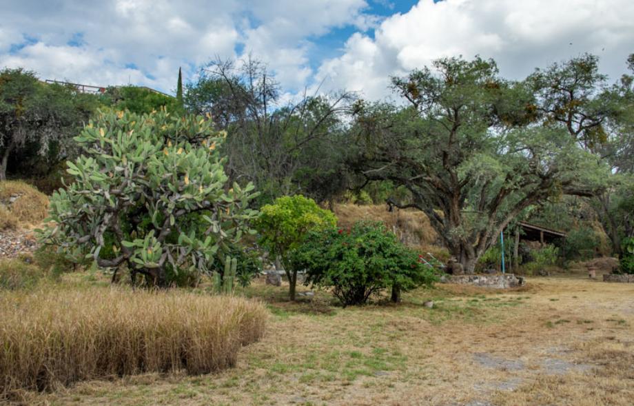 San Miguel de Allende, Guanajuato, 37897, Mexico, 1 Bedroom Bedrooms, ,Residential,For Sale,1714512