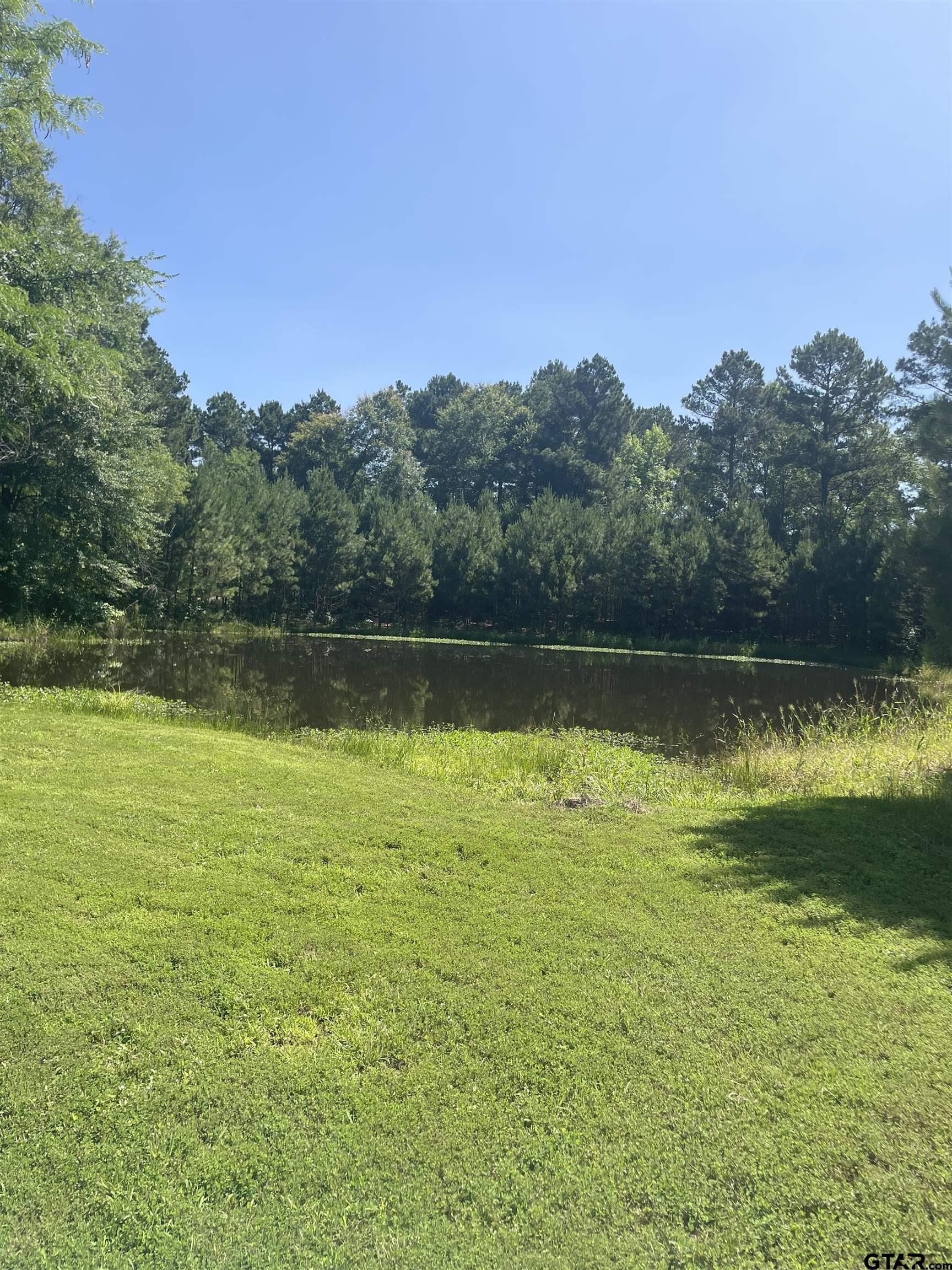 Pittsburg, Texas, 75686, United States, 3 Bedrooms Bedrooms, ,3 BathroomsBathrooms,Residential,For Sale,1974694