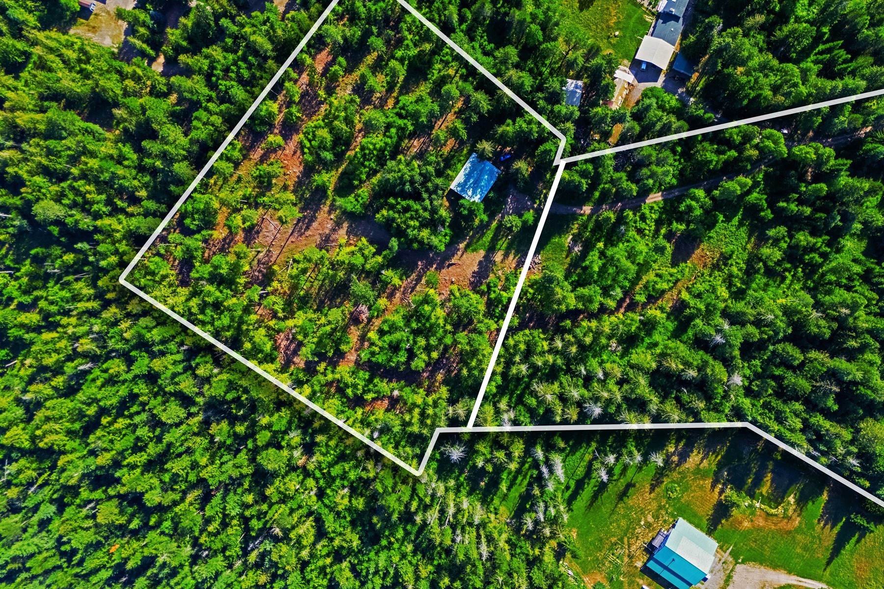  113 Tanager Lane - 物件實景