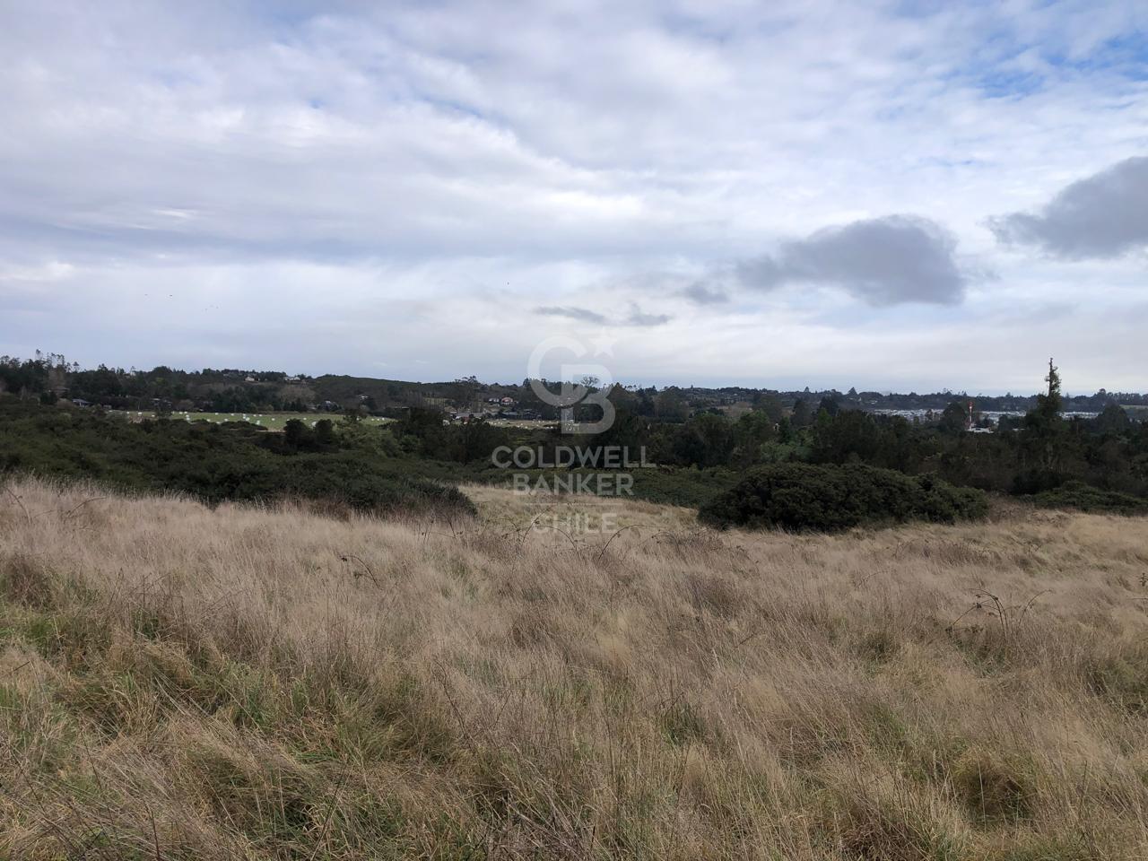 Puerto Varas, Chile, ,Land,For Sale,1917597