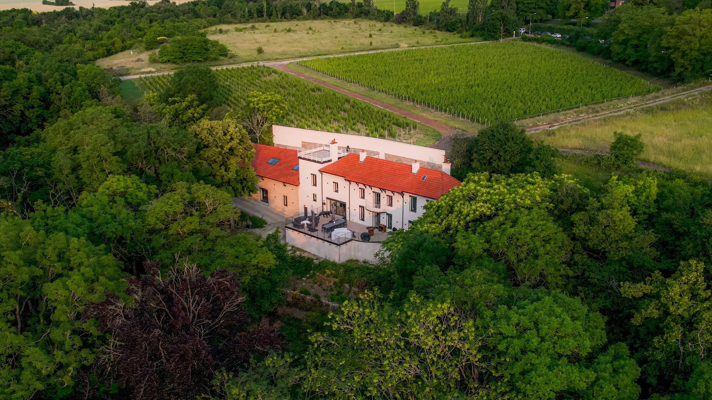  Dijon-Renovated Exceptional Property – Vineyard Views – - 物件實景
