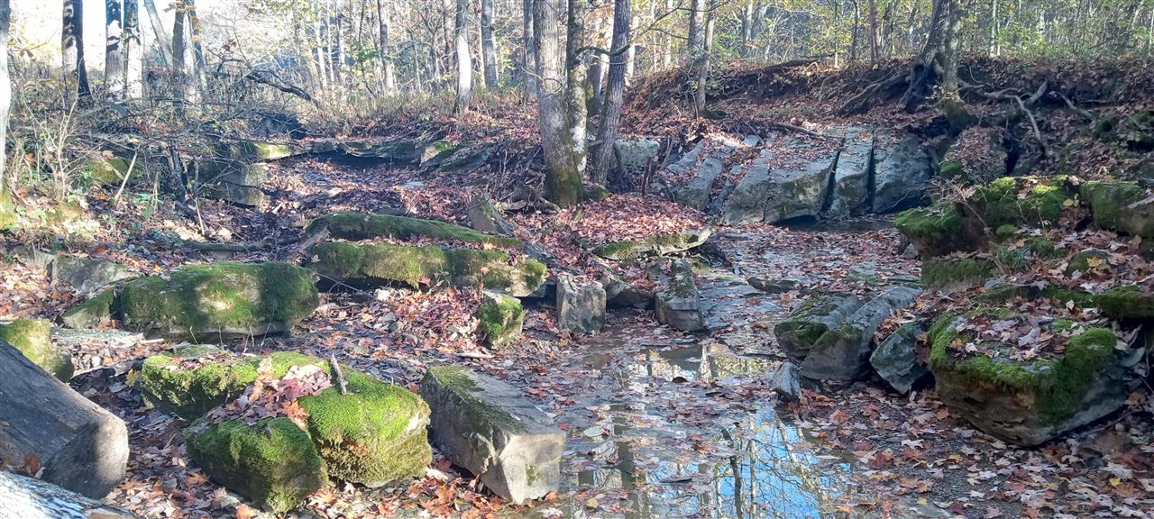 Willow Shade, Kentucky, 42166, United States, 3 Bedrooms Bedrooms, ,2 BathroomsBathrooms,Residential,For Sale,1991903