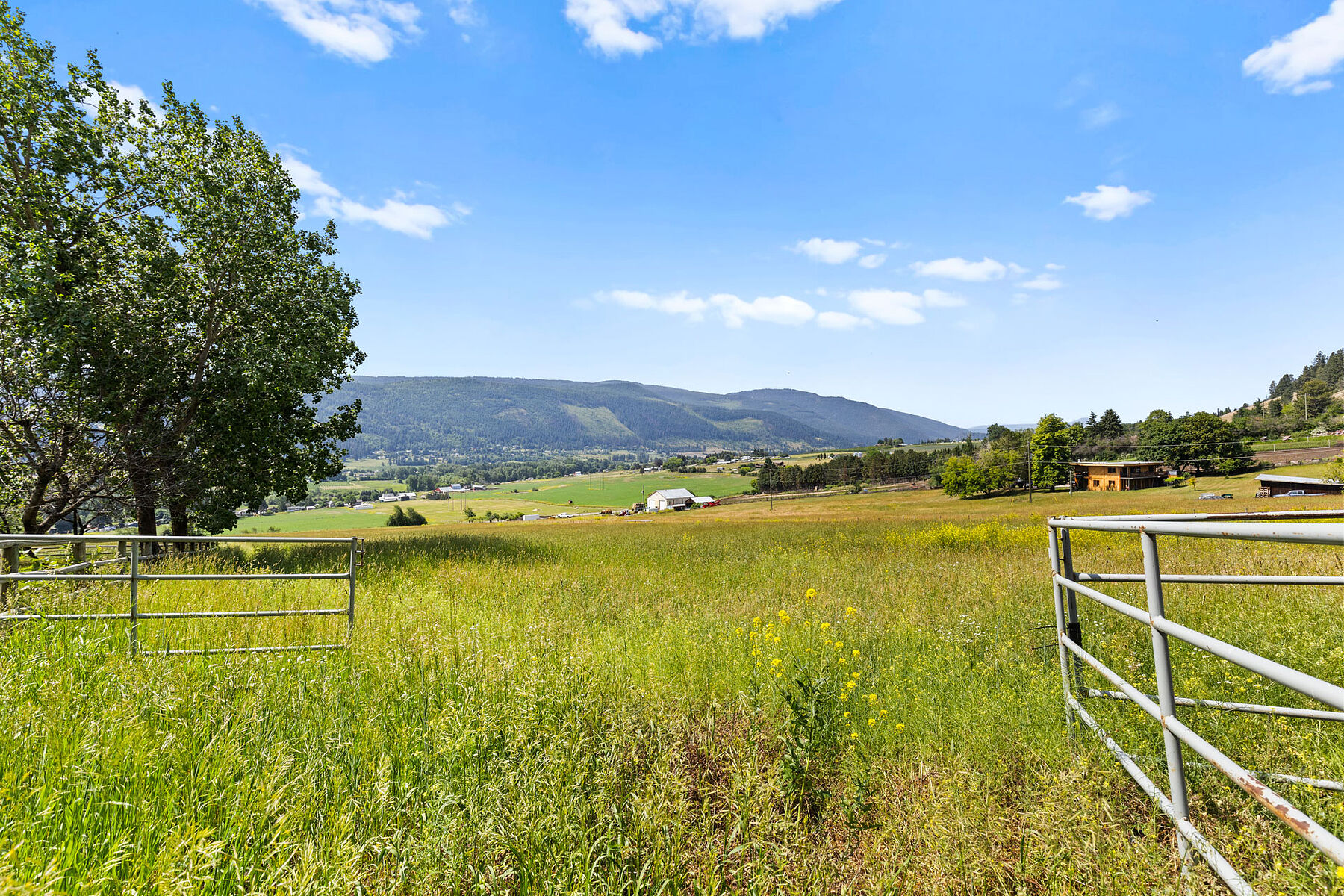  Ten Acres in Coldstream - 物件實景