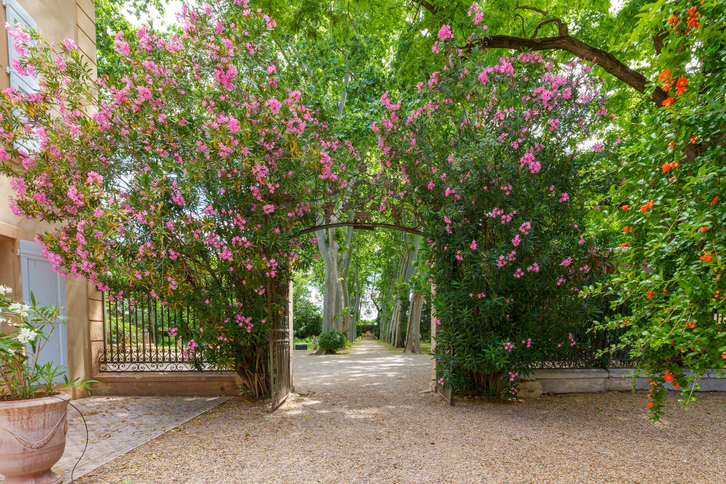  Wine Estate, Luxury Hospitality Business & Historic Château - 物件實景