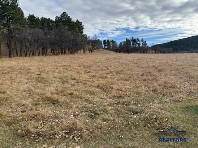 Whitewood, South Dakota, 57793, United States, ,Land,For Sale,2005970