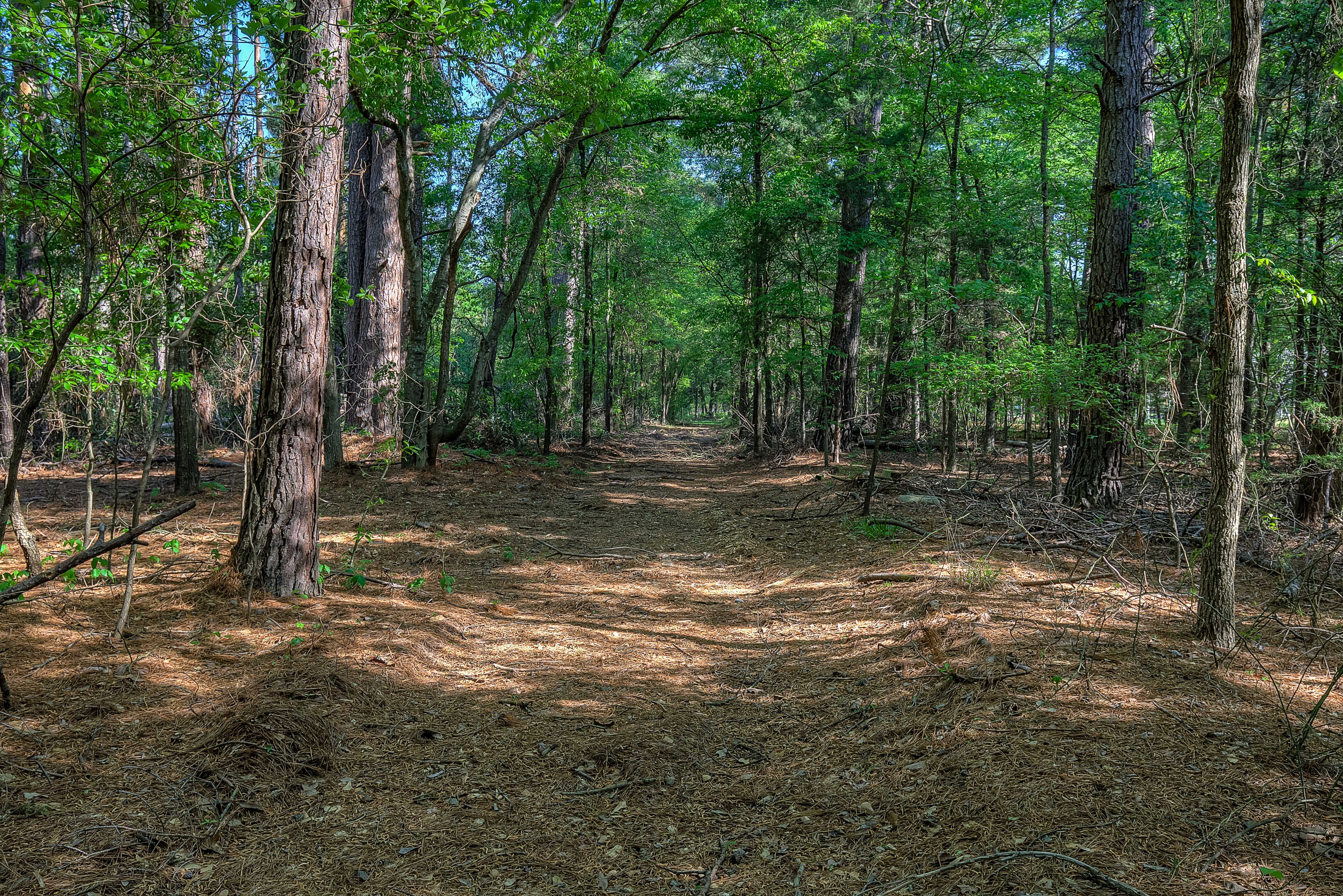 Quitman, Texas, 75783, United States, 3 Bedrooms Bedrooms, ,3 BathroomsBathrooms,Residential,For Sale,1693379