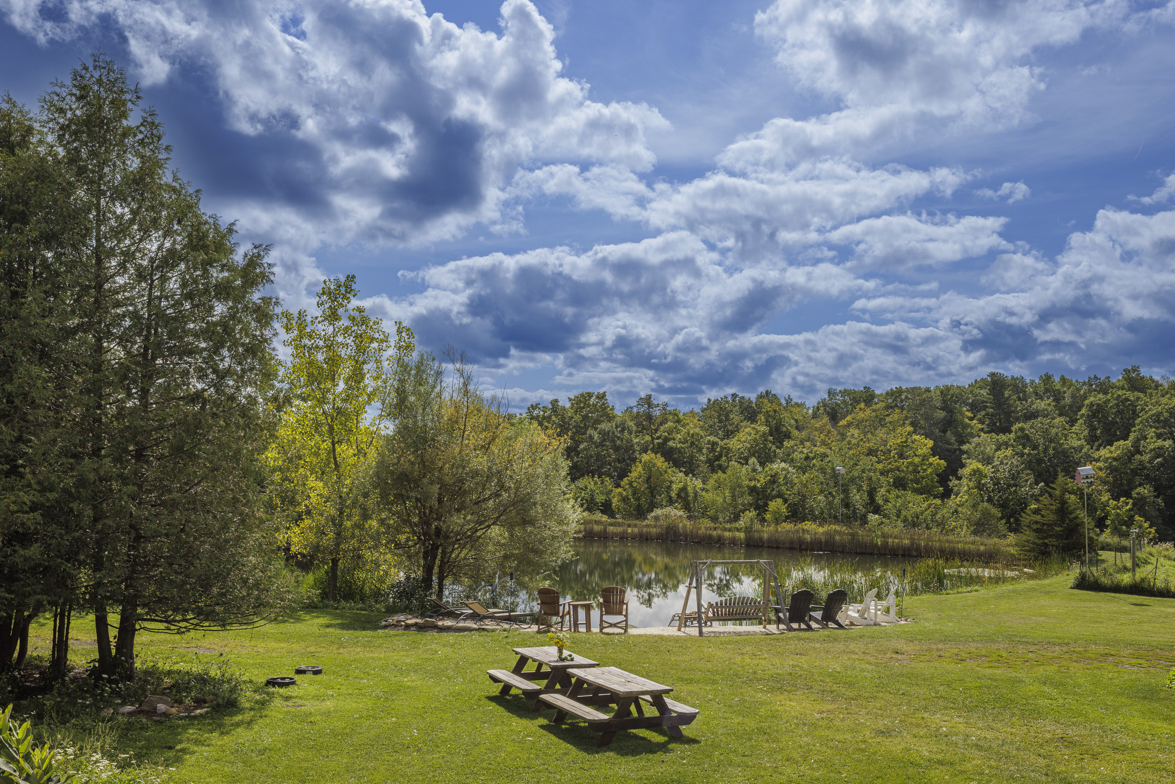  351 Warners Lake Road, East Berne, NY 12059 - 物件實景