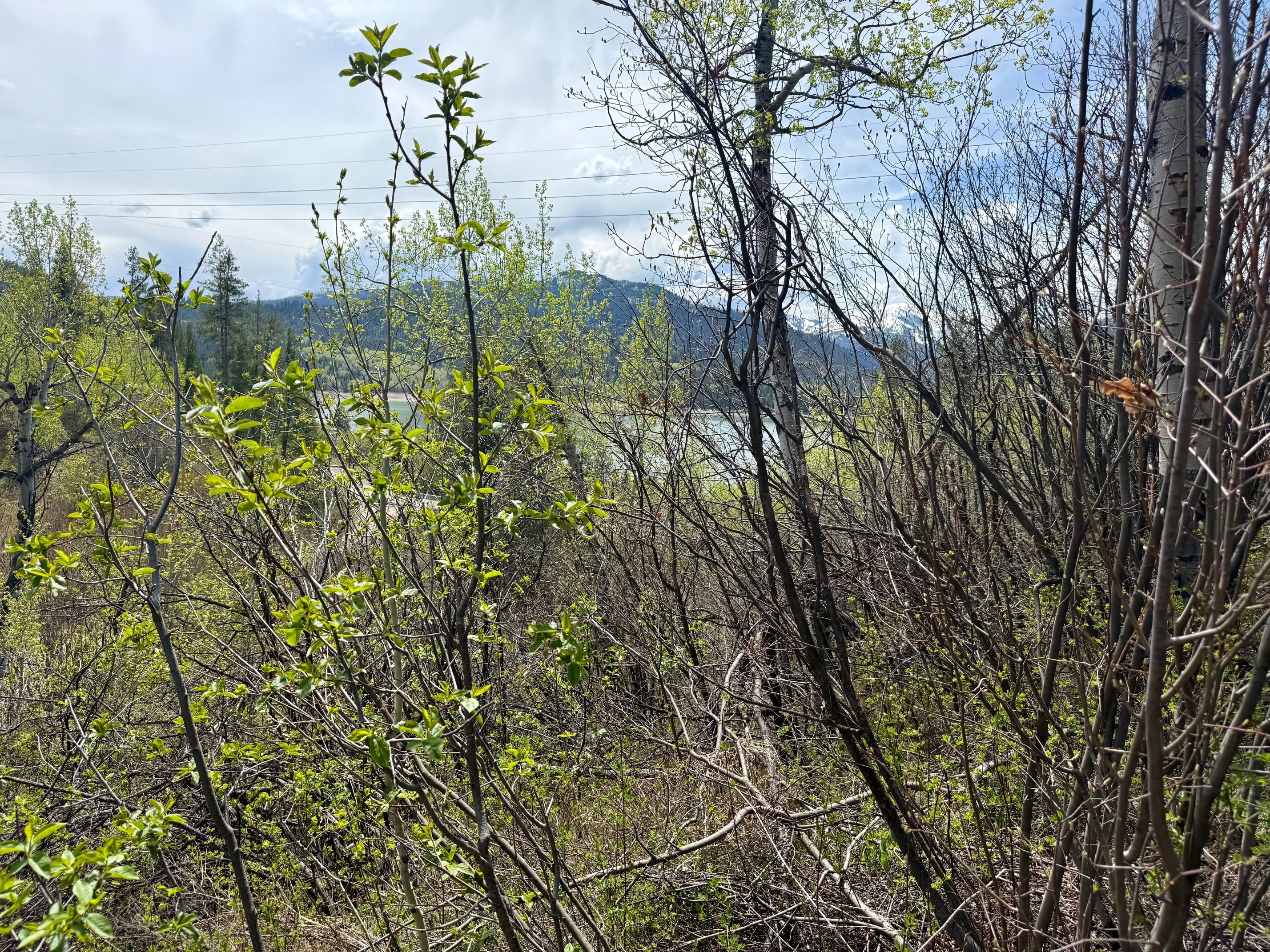  Property Overlooking the Palisades Reservoir - 物件實景