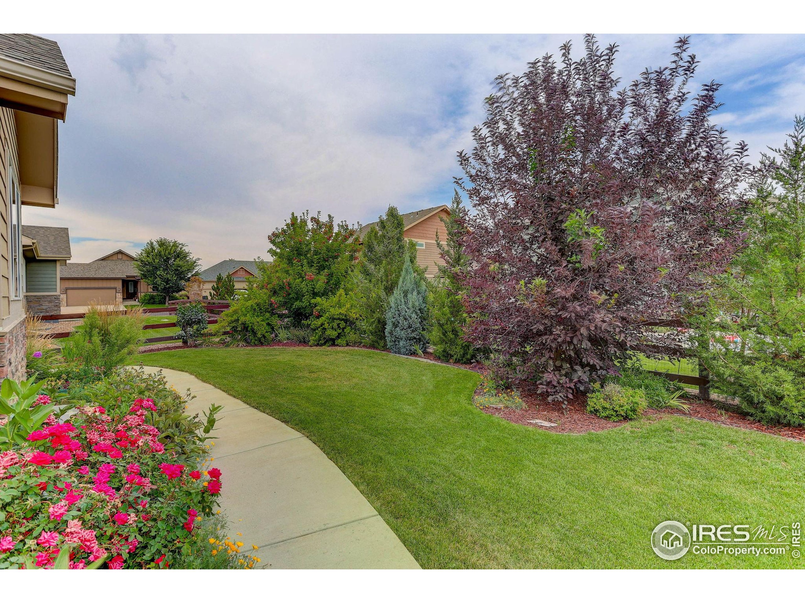 Windsor, Colorado, 80550, United States, 3 Bedrooms Bedrooms, ,2 BathroomsBathrooms,Residential,For Sale,1910992