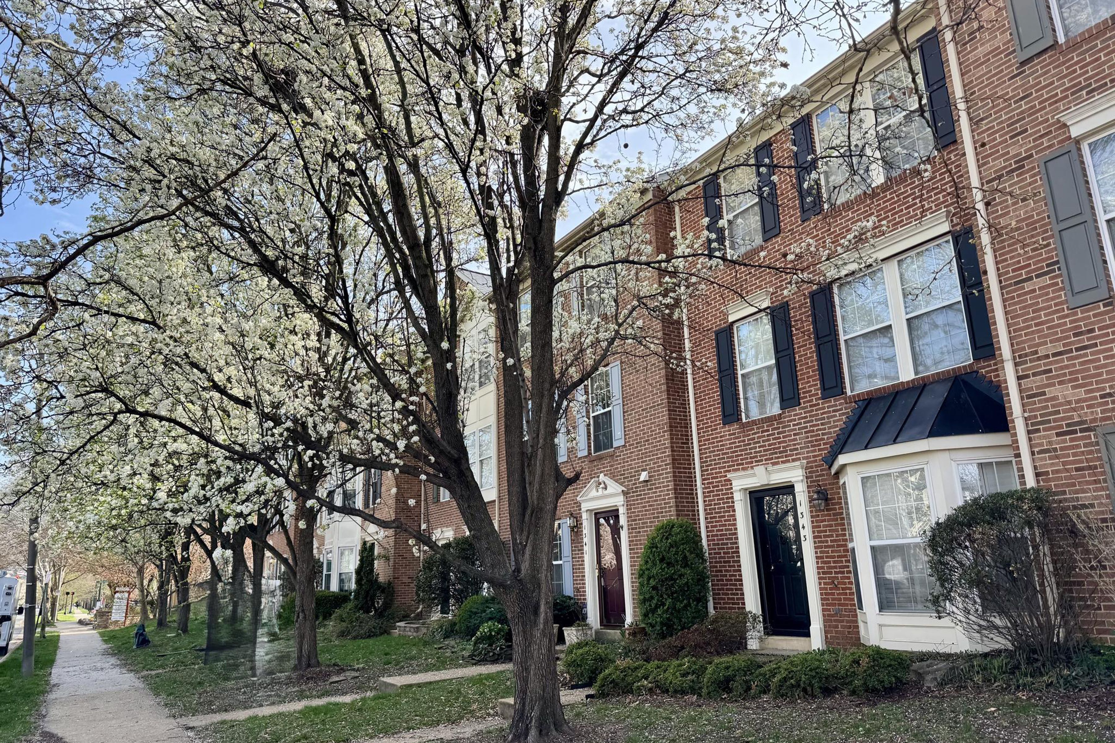  1343 Argall Place, Alexandria, VA, 22314 - 物件實景