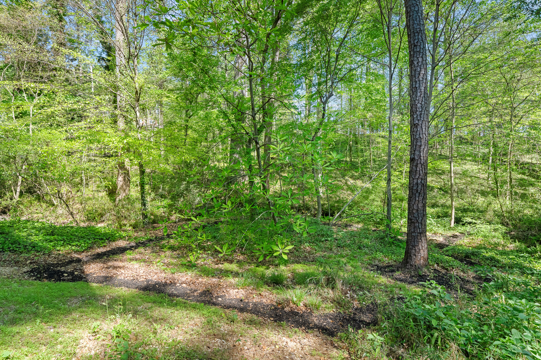  Modern Work of Art in the Heart of Historic Collier Hills - 物件實景