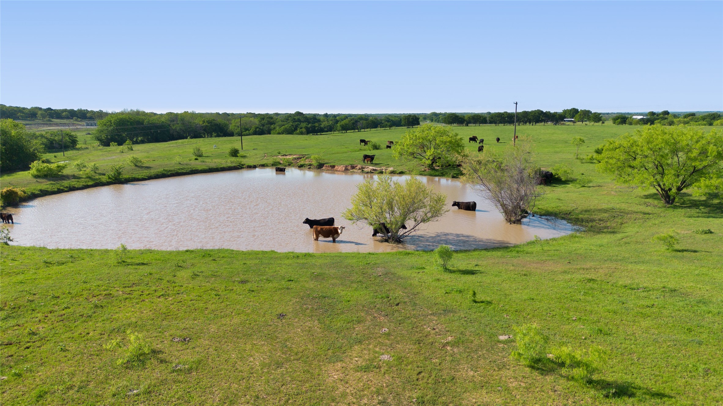 Alvord, Texas, 76225, United States, ,Land,For Sale,1751620