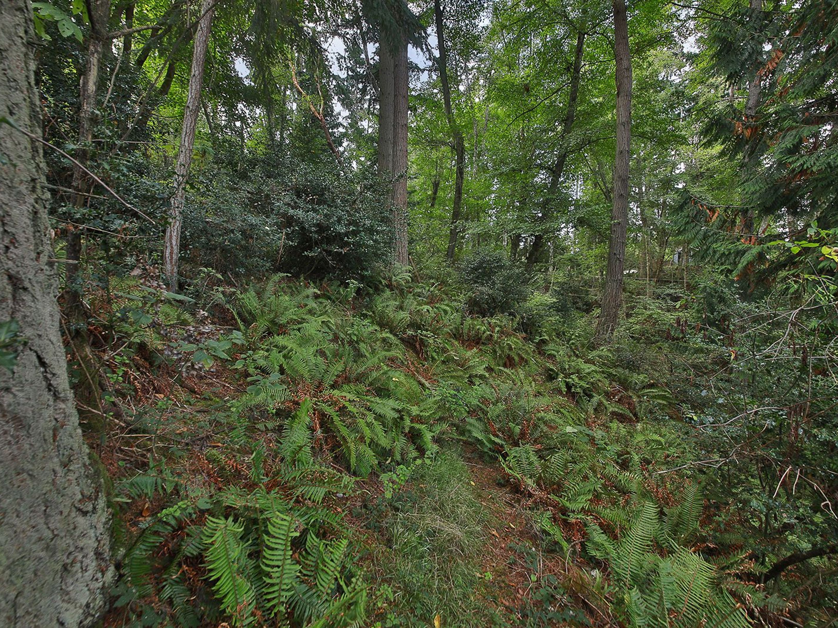  XXX Waterside Lane, Langley, WA 98260 - 物件實景