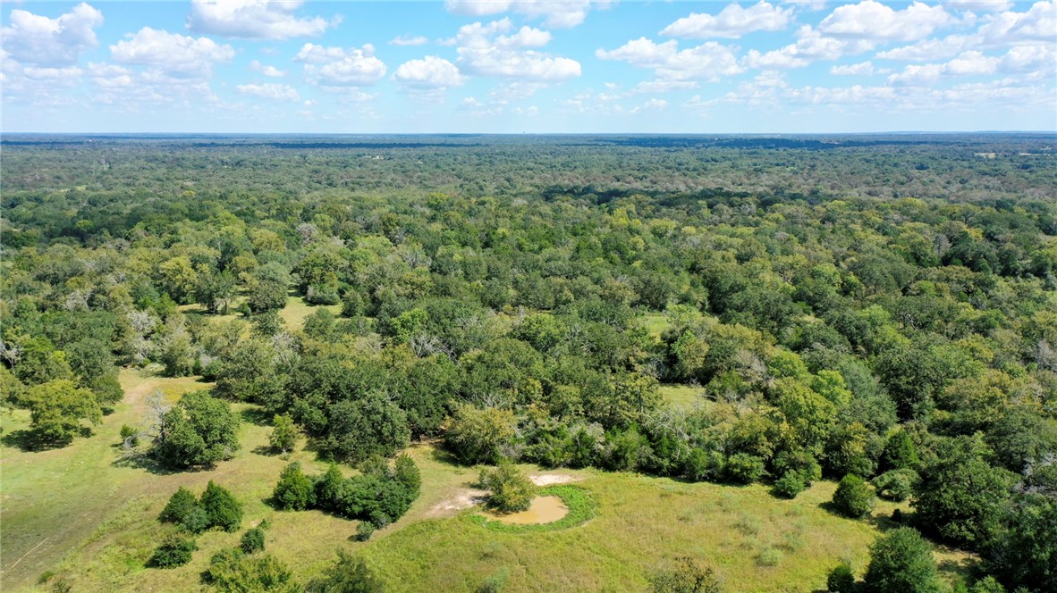 TBD Tonkaway Lake (PVT) RD TX Road, College Station, Texas, 77845, United States, ,Land,For Sale,TBD Tonkaway Lake (PVT) RD TX Road,1673471