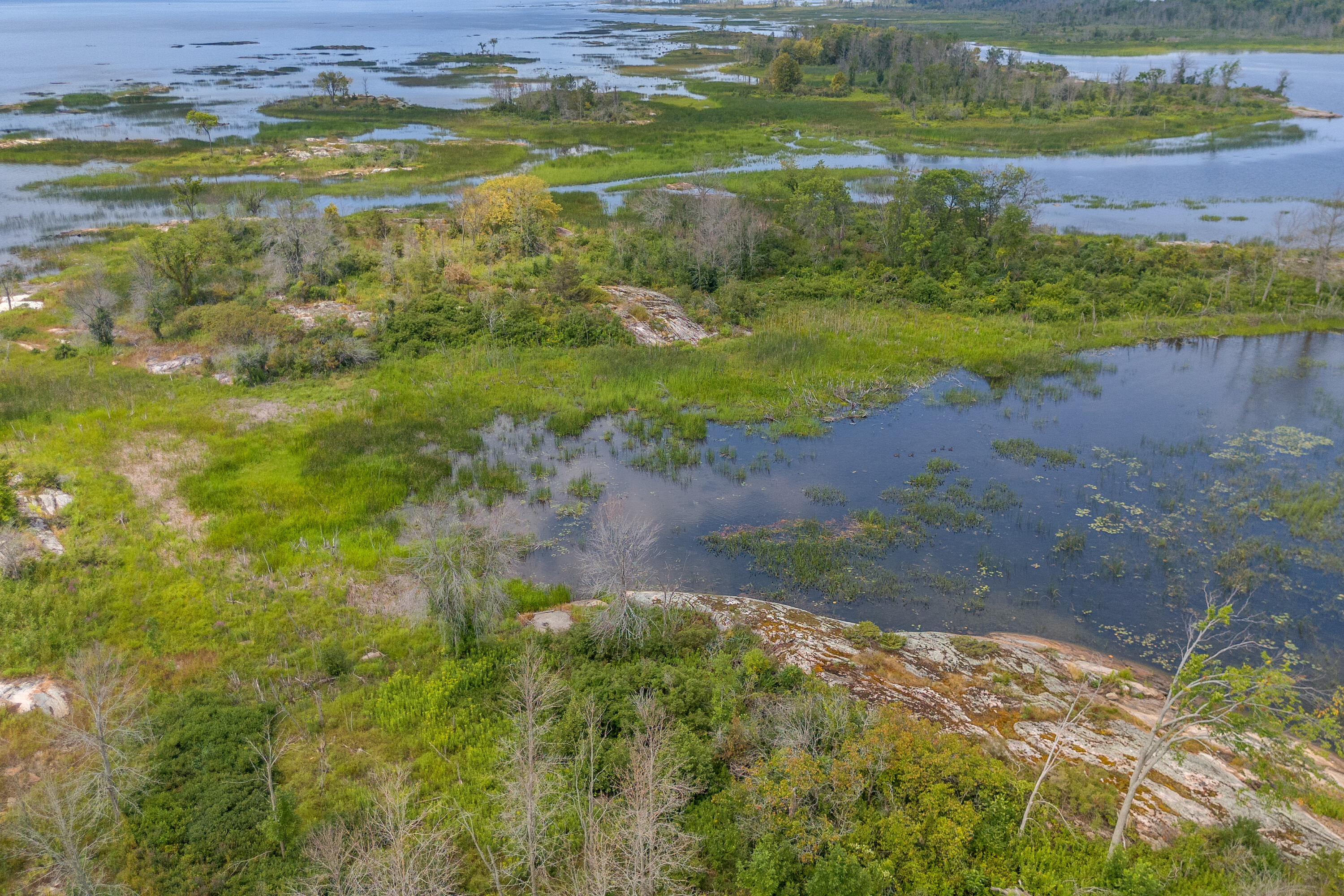  Archipelago On Georgian Bay - 物件實景