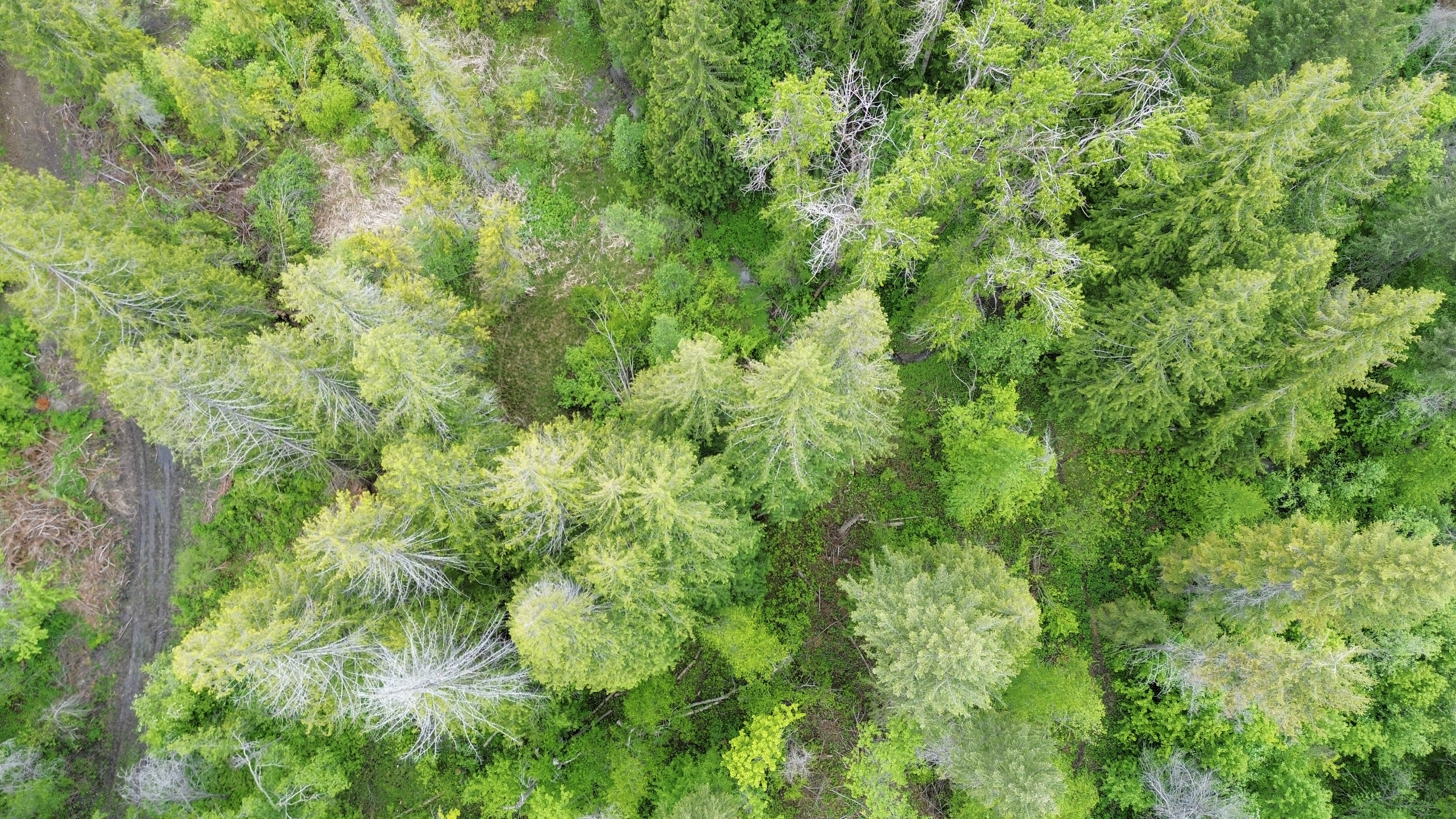 Kettle Falls, Washington, 99141, United States, 3 Bedrooms Bedrooms, ,2 BathroomsBathrooms,Residential,For Sale,1985709