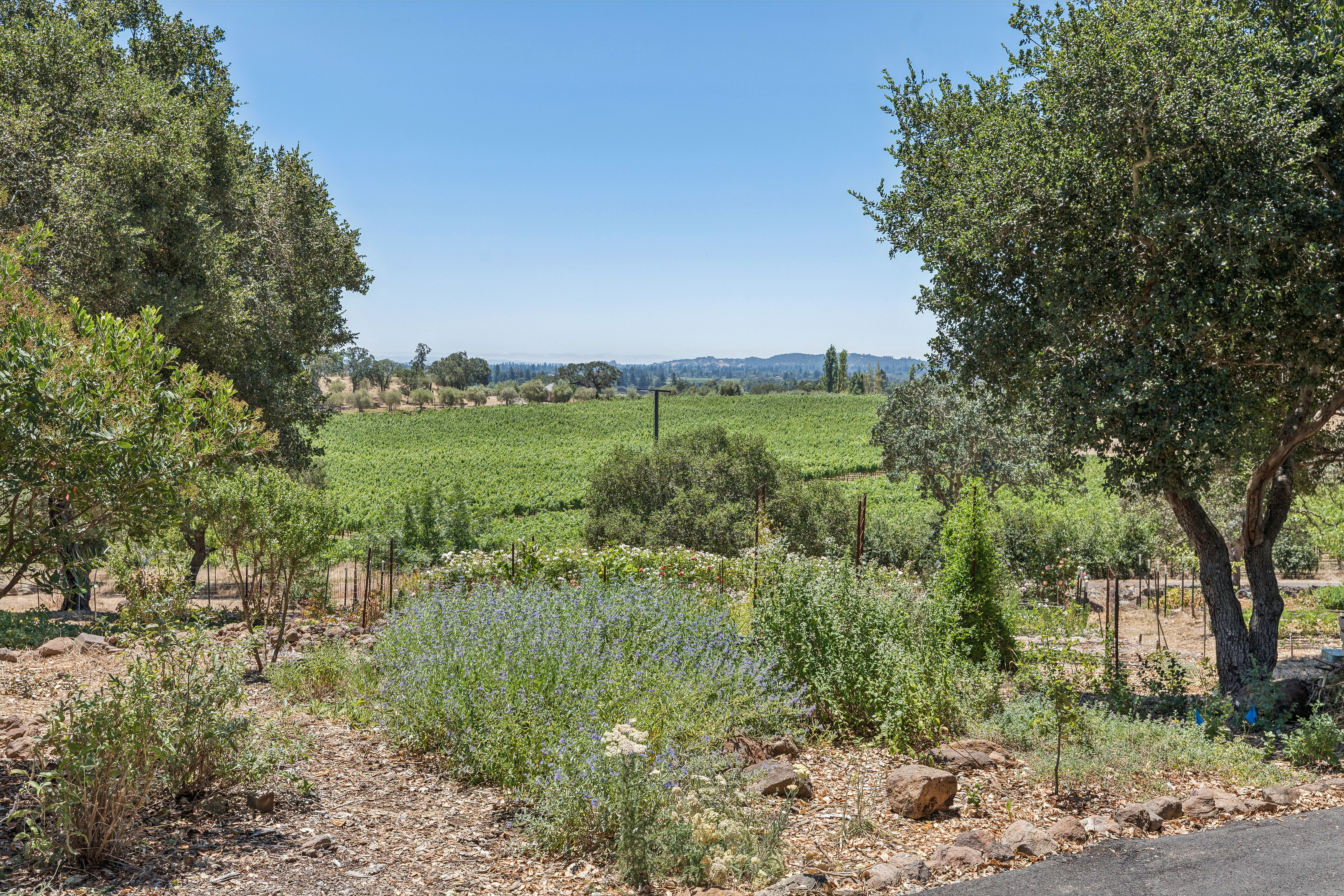  Refined Wine Country Estate - 物件實景