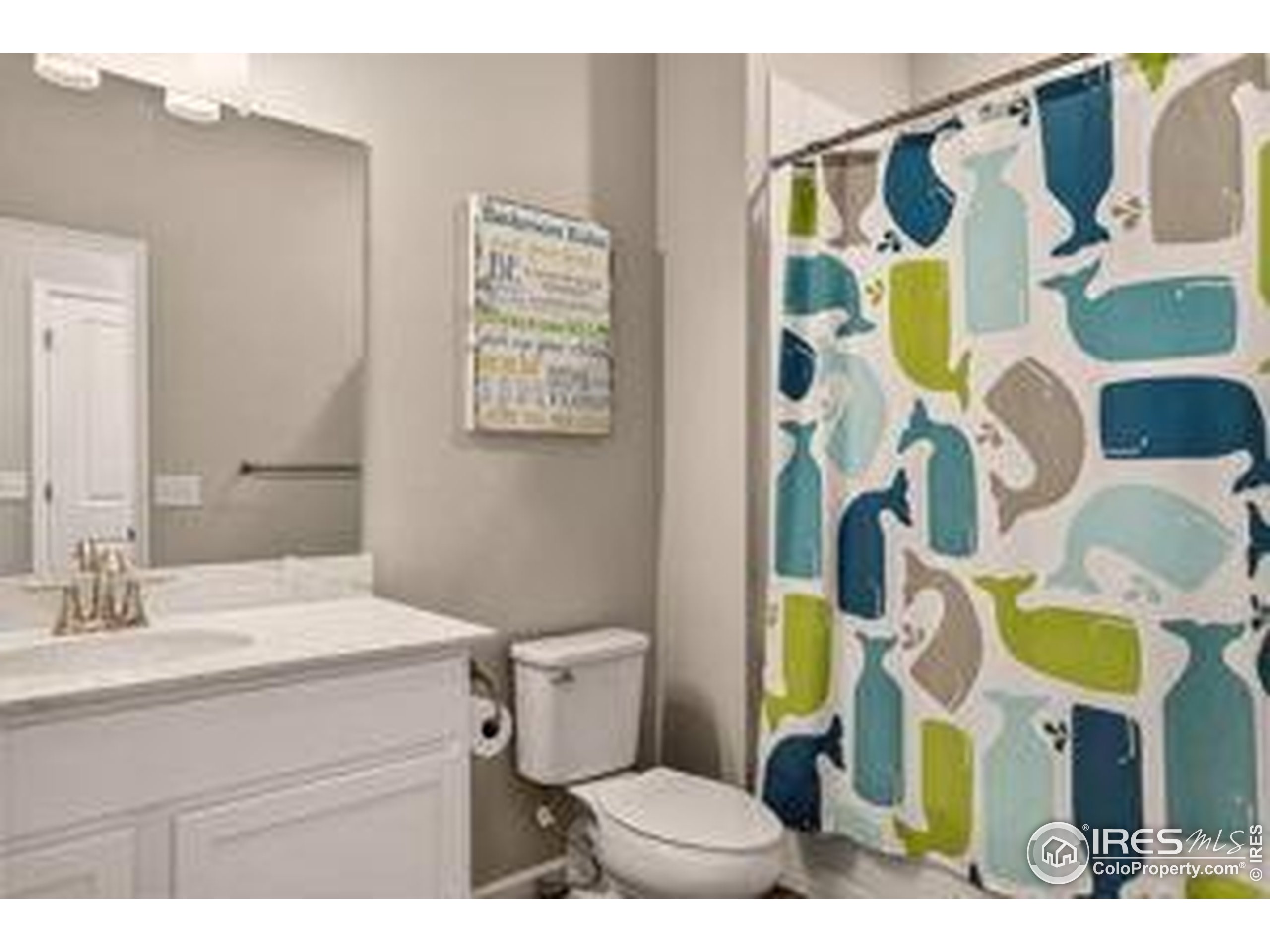 Erie, Colorado, 80516, United States, 3 Bedrooms Bedrooms, ,3 BathroomsBathrooms,Residential,For Sale,1876581