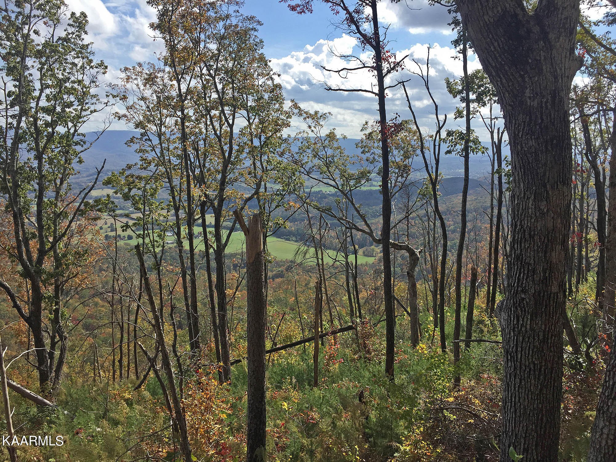 Pikeville, Tennessee, 37367, United States, ,Residential,For Sale,1943070