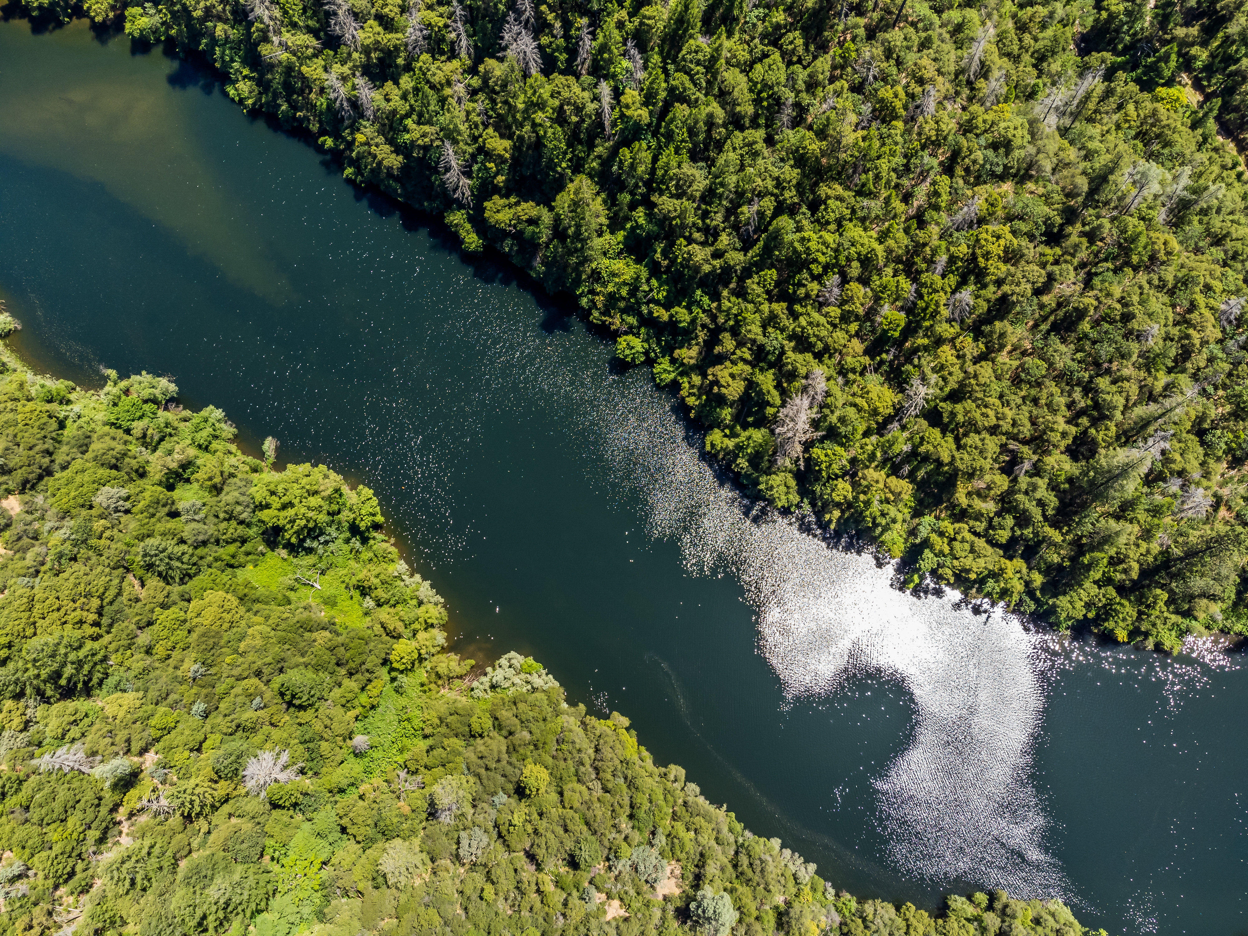  2640 Trail Gulch Road, Placerville, CA 95667 - 物件實景