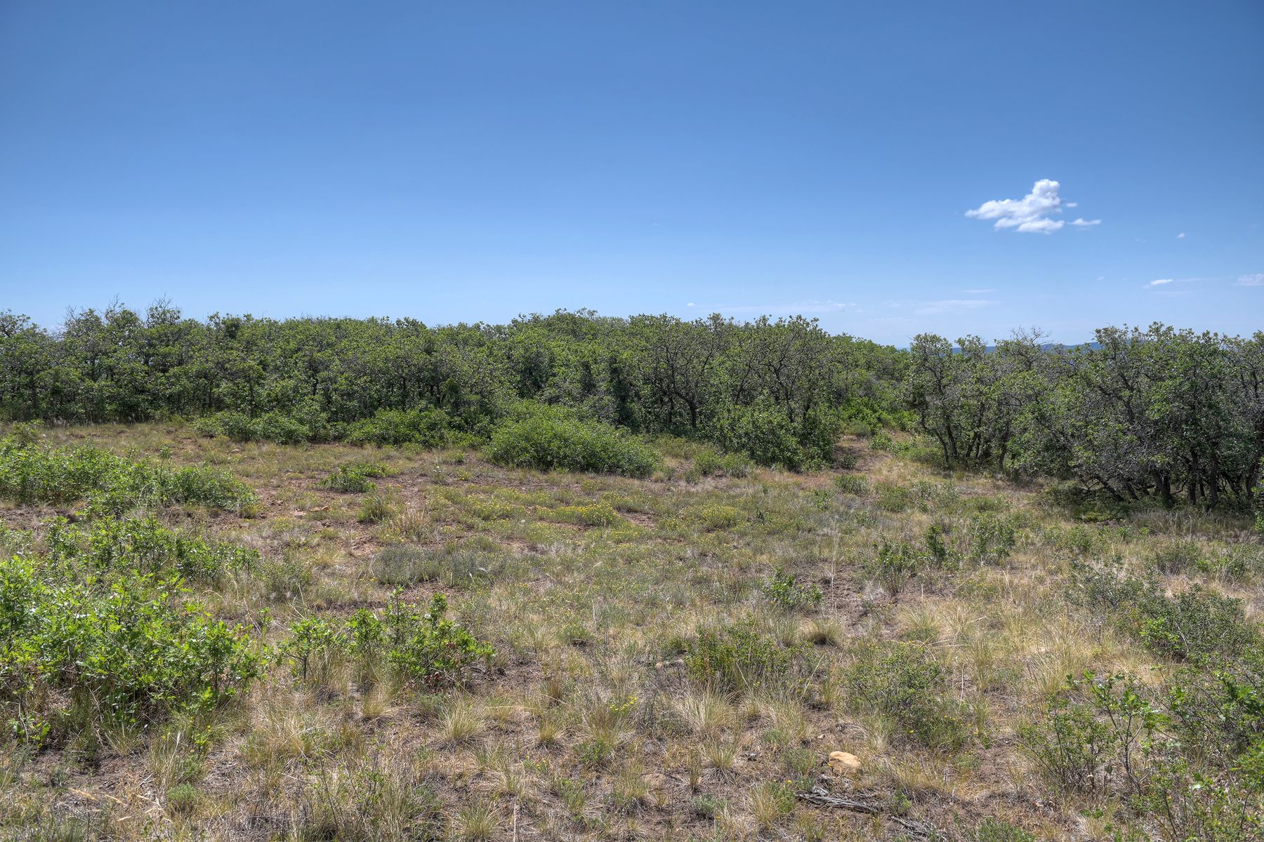  TBD Cross Creek Road, Hesperus, CO 81326 - 物件實景
