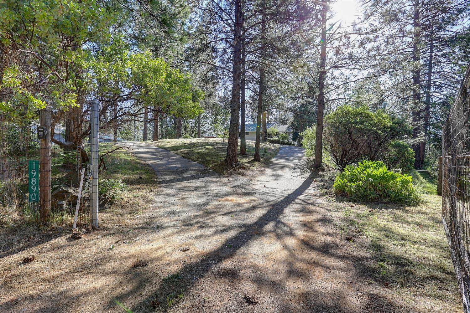 Grass Valley, California, 95949, United States, 3 Bedrooms Bedrooms, ,3 BathroomsBathrooms,Residential,For Sale,1842602