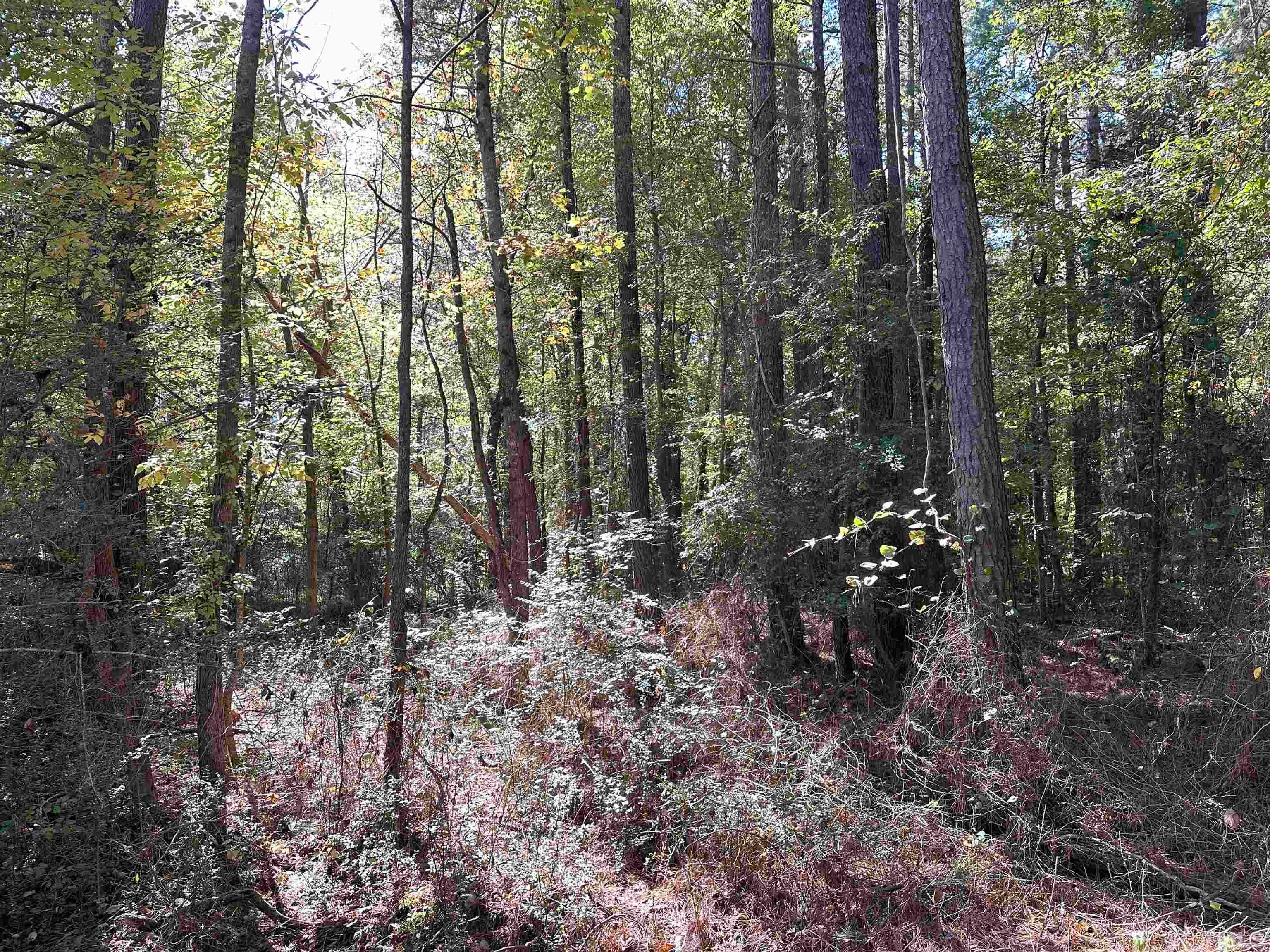 8017 Farrington Mill Road, Chapel Hill, North Carolina, 27517, United States, ,Land,For Sale,8017 Farrington Mill Road,1623508