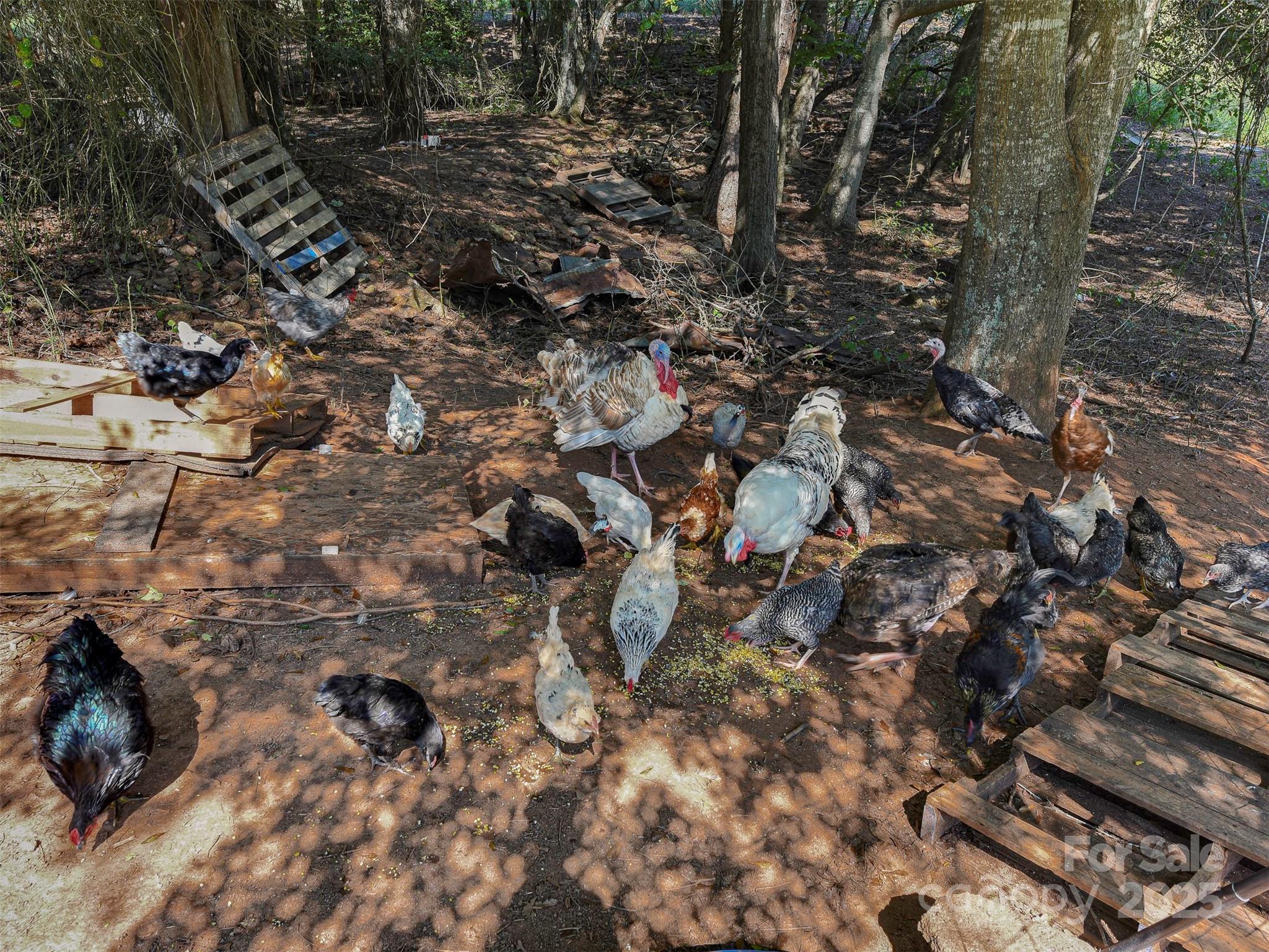 Forest City, North Carolina, 28043, United States, 2 Bedrooms Bedrooms, ,1 BathroomBathrooms,Residential,For Sale,1983157