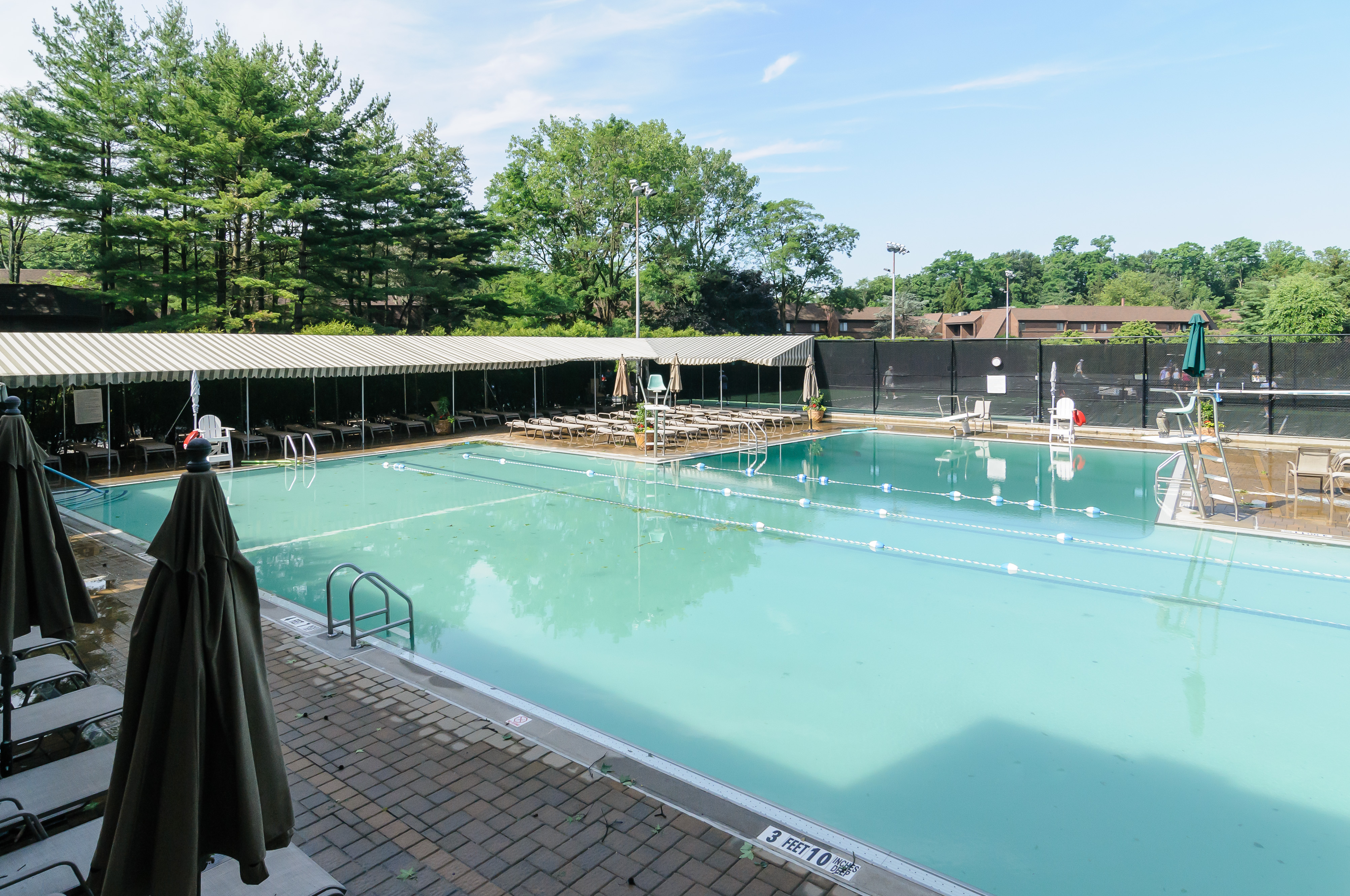  66 Chestnut Hill, Roslyn, NY 11576 - 物件實景