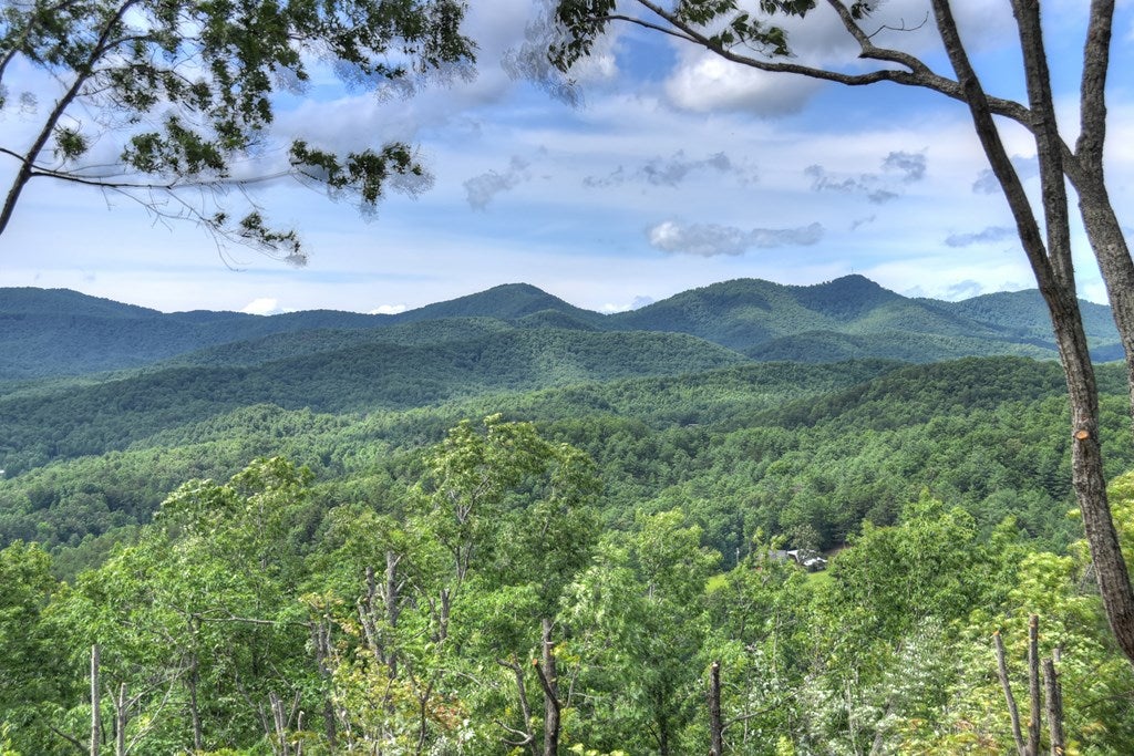 Mineral Bluff, Georgia, 30559, United States, 4 Bedrooms Bedrooms, ,4 BathroomsBathrooms,Residential,For Sale,1871299