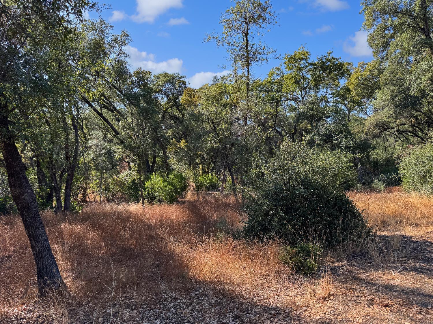Auburn, California, 95603, United States, ,Residential,For Sale,1935188