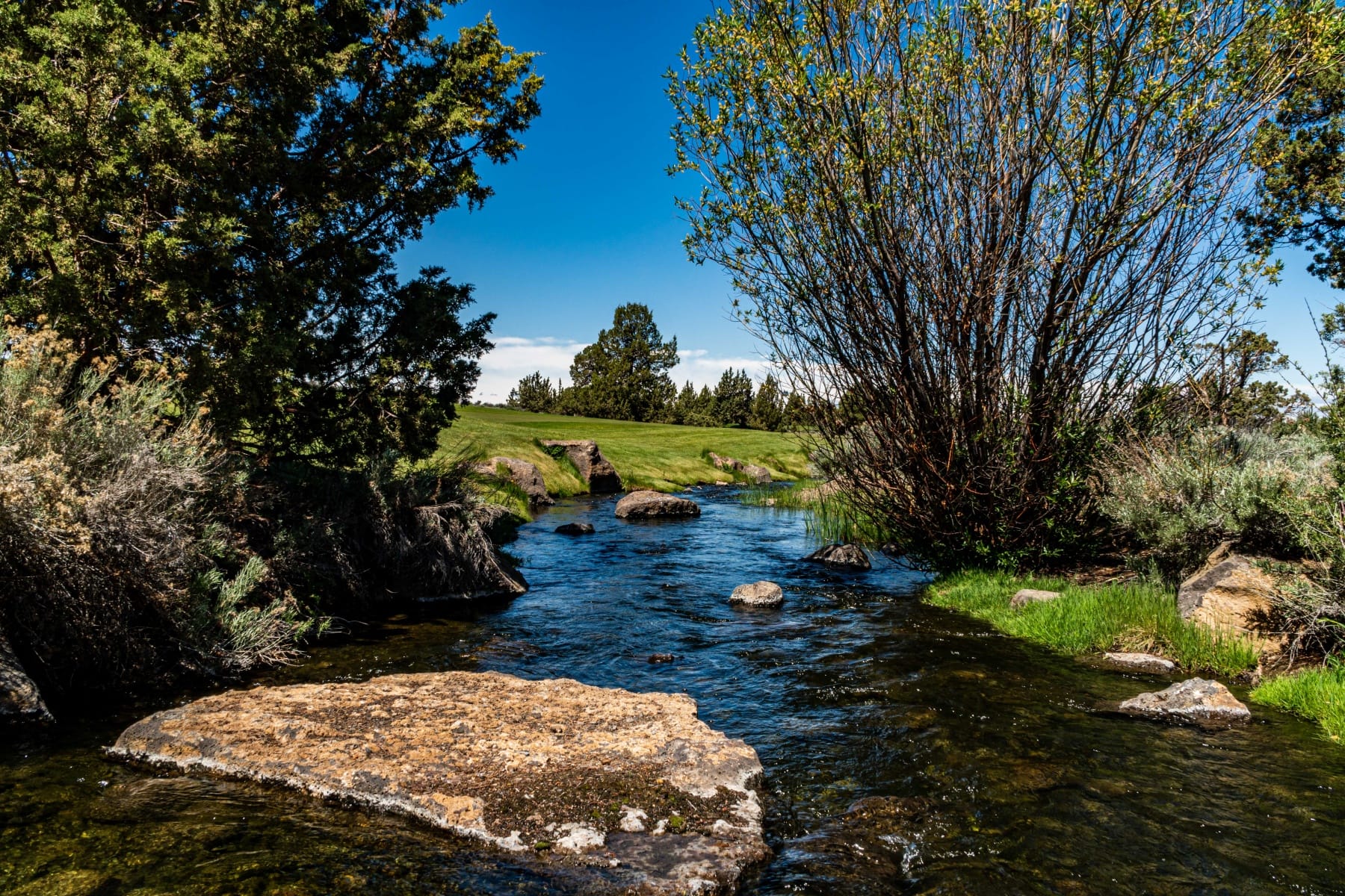  65845 Pronghorn Estates Drive #Lot 44 Bend, OR 97701 - 物件實景