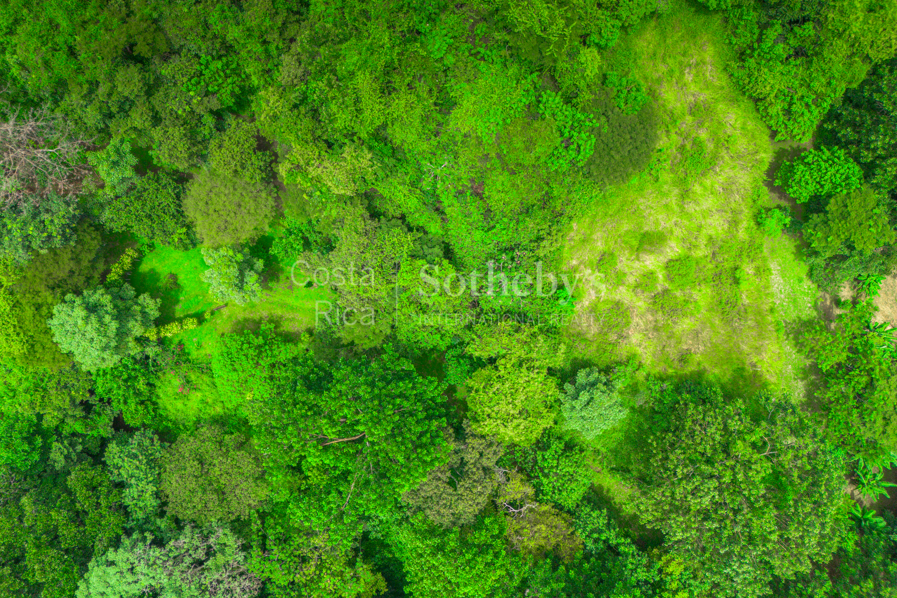  Atenas Highlands Eco Estate - 物件實景