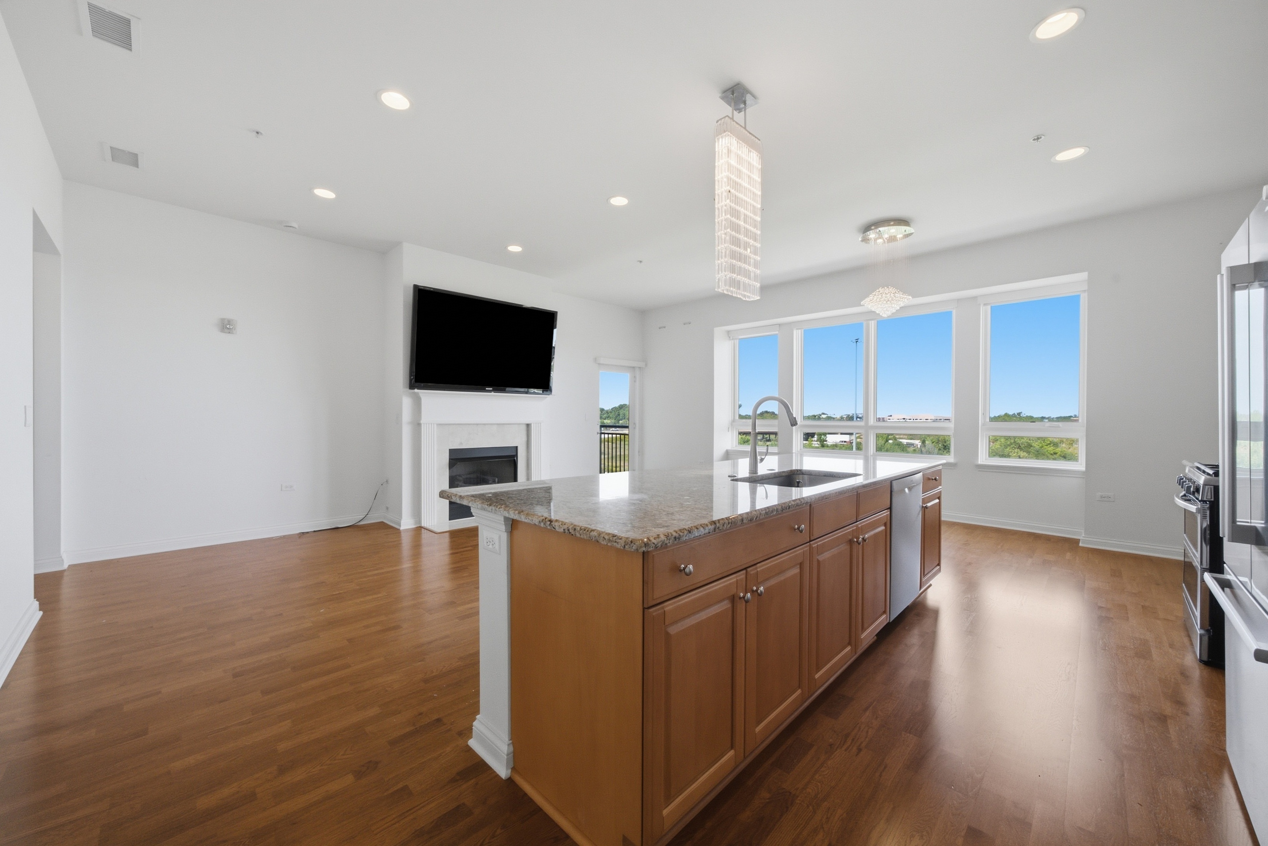  Penthouse-Level Residence in the Heart of Burr Ridge - 物件實景